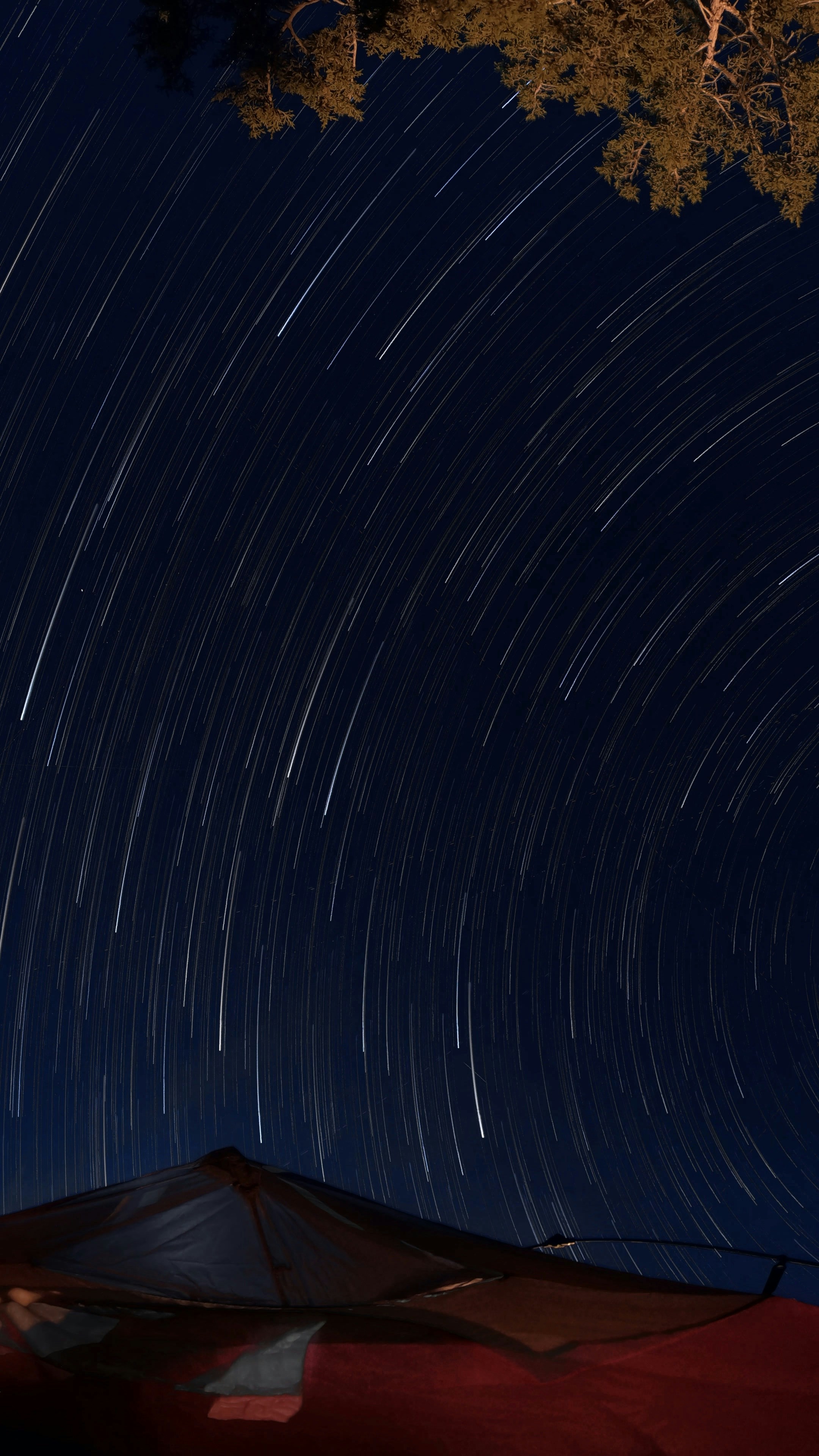 Photo by colinsickler