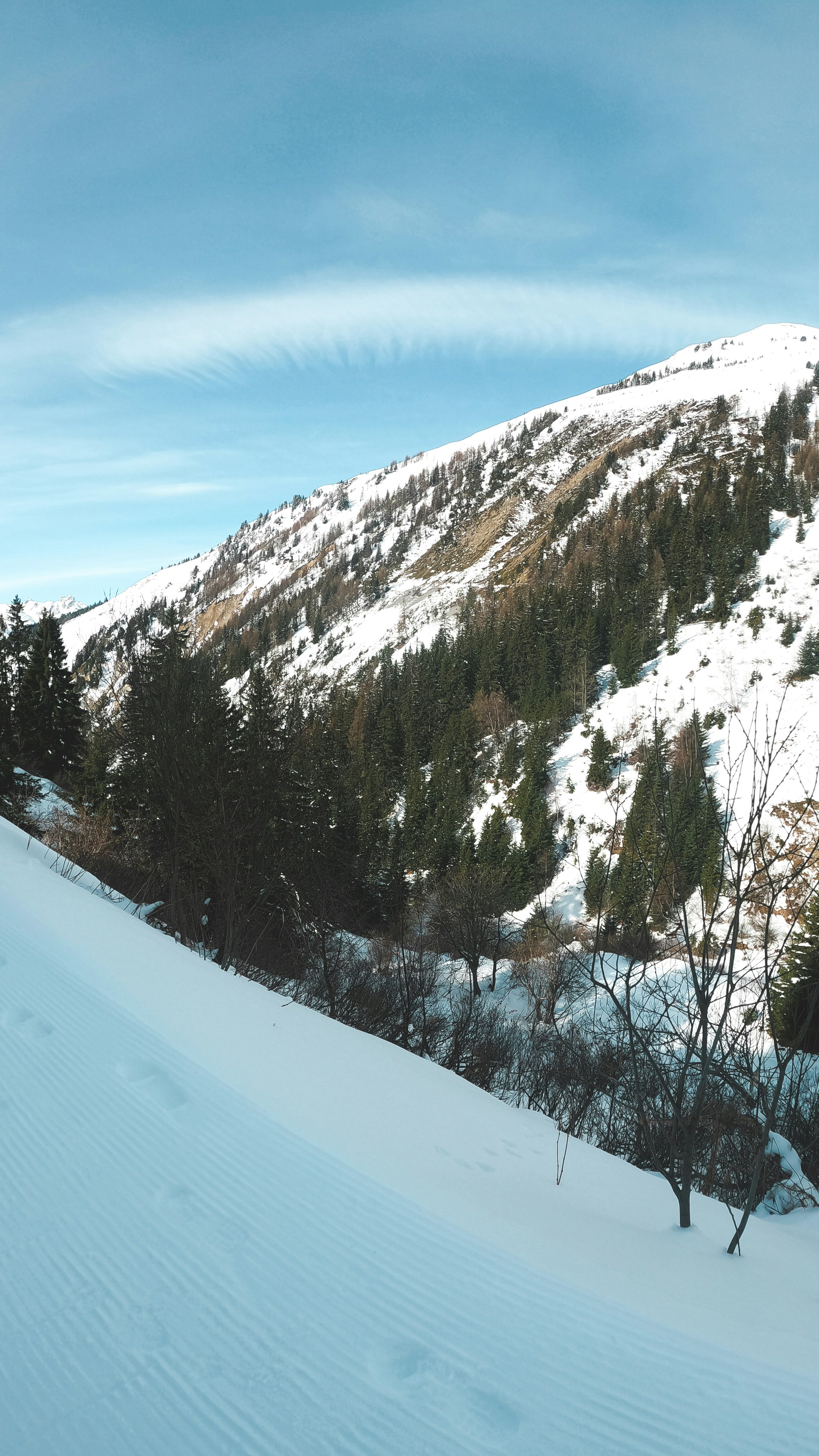 Photo by elliottmason