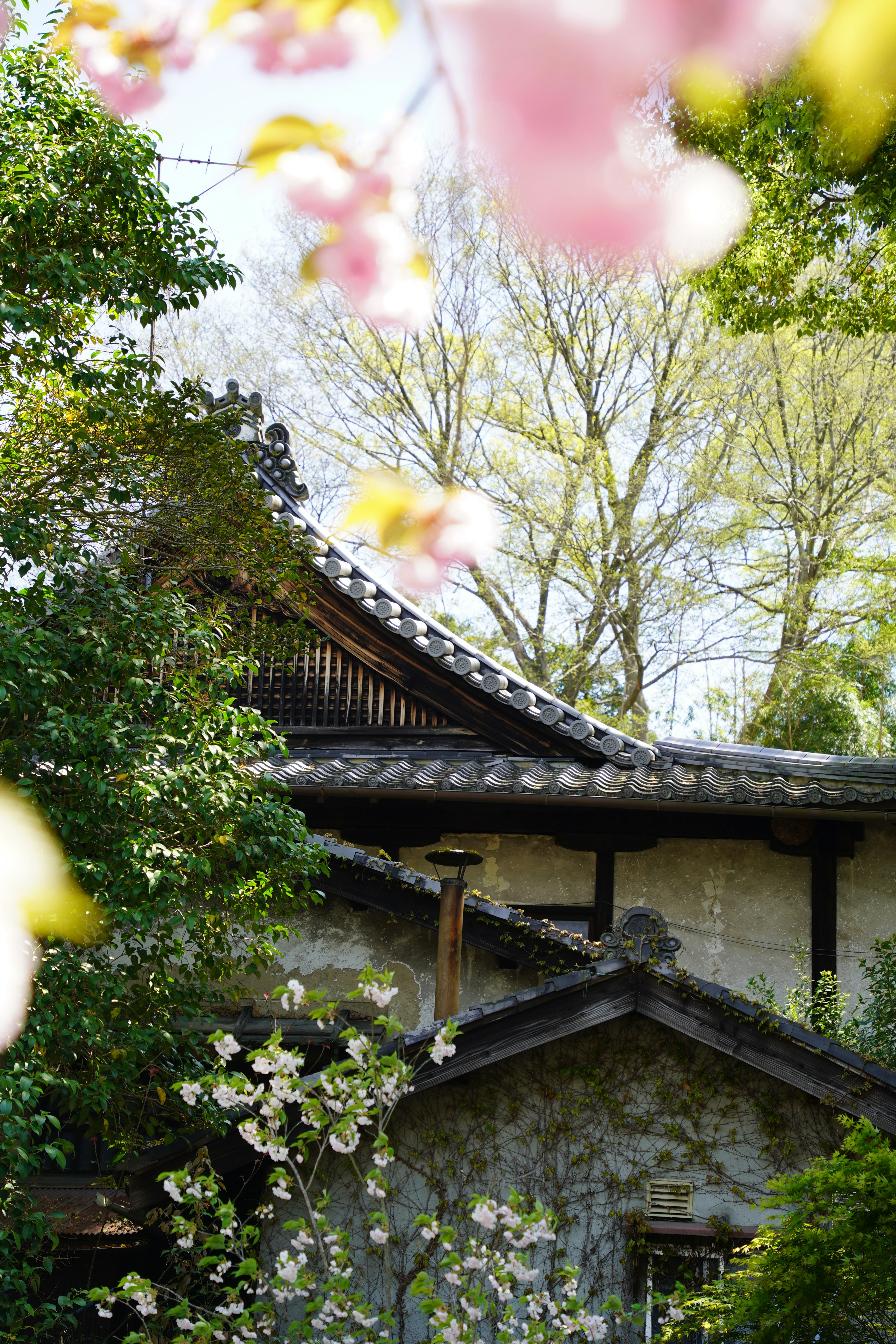 Photo by shpetimujkani