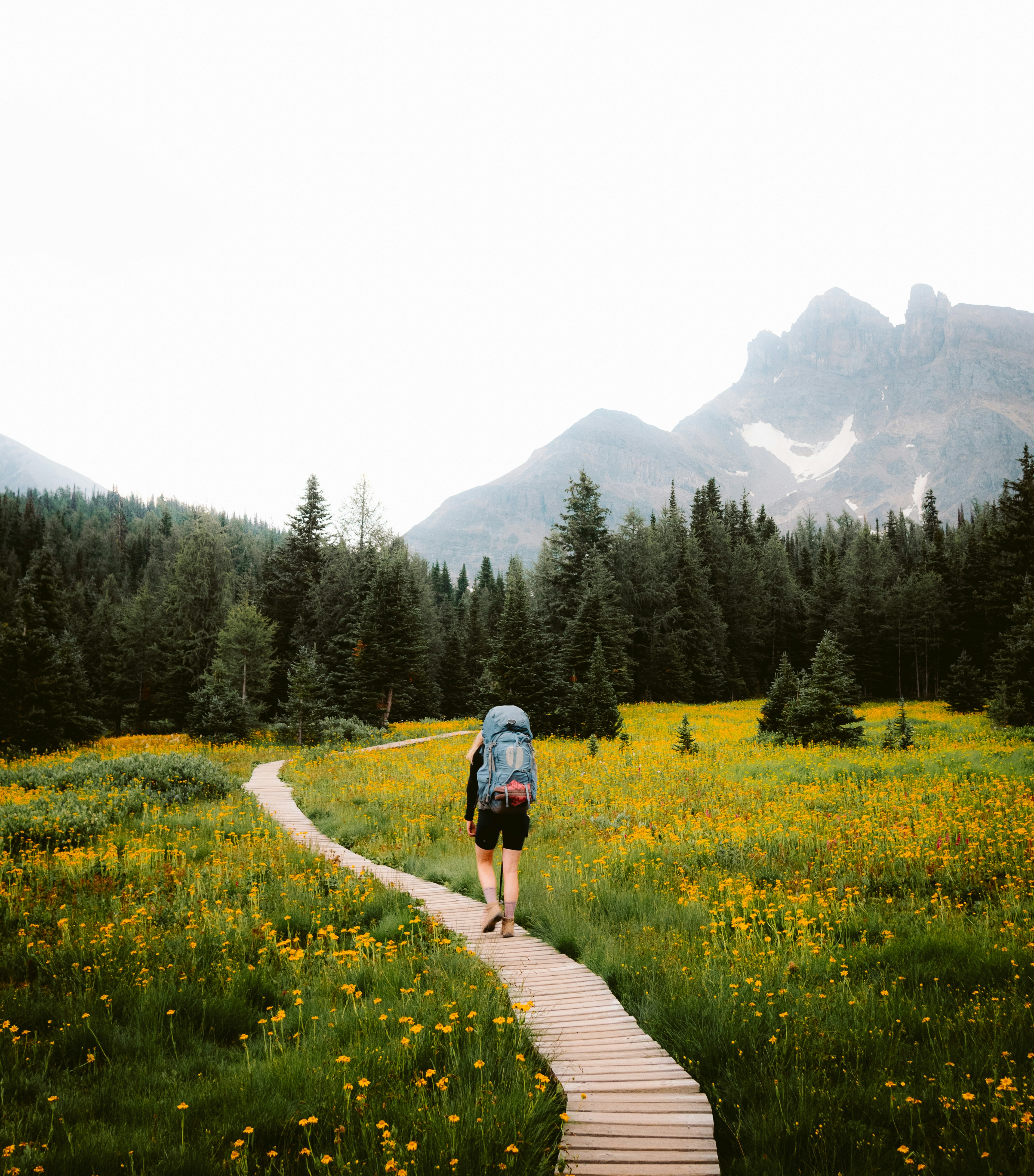 Photo by thelifeofdev