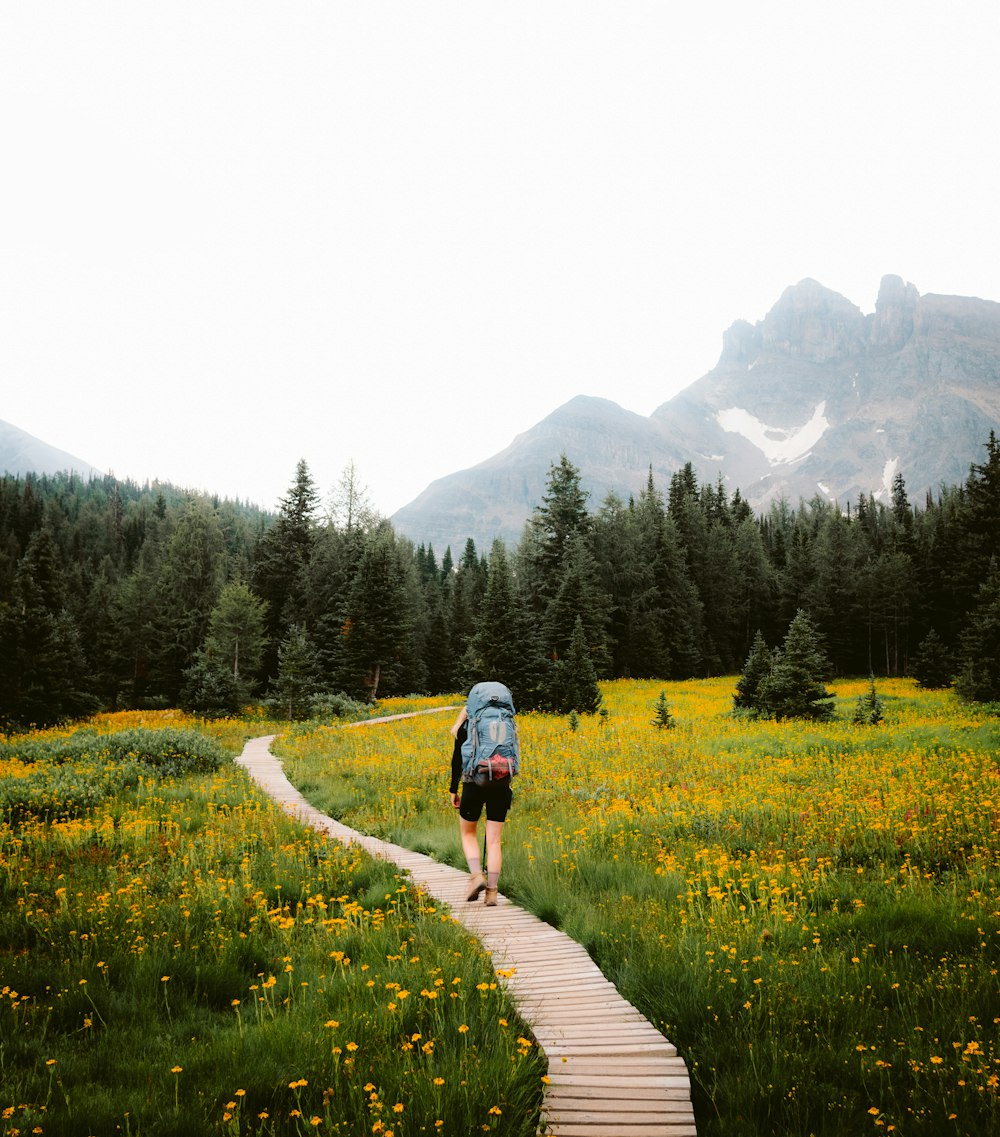 a person with a backpack walking on a path through a field