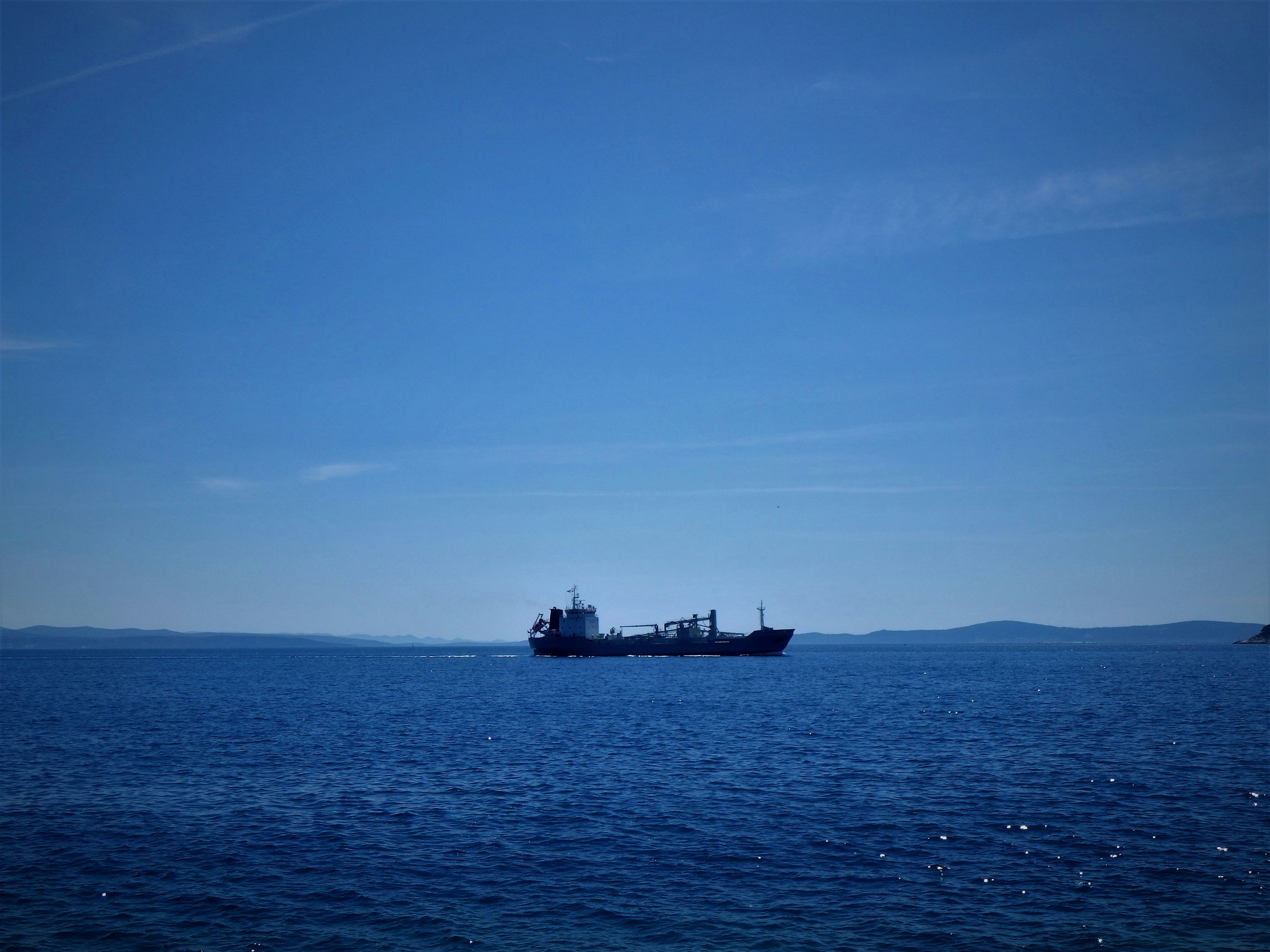 Photo by dominapetric