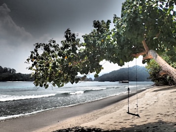 A tranquil beach scene with gentle waves washing onto the sandy shore. A large tree with lush green leaves extends over the beach, providing shade. A simple swing hangs from a sturdy branch, inviting relaxation. In the distance, hilly islands are visible under a slightly overcast sky.