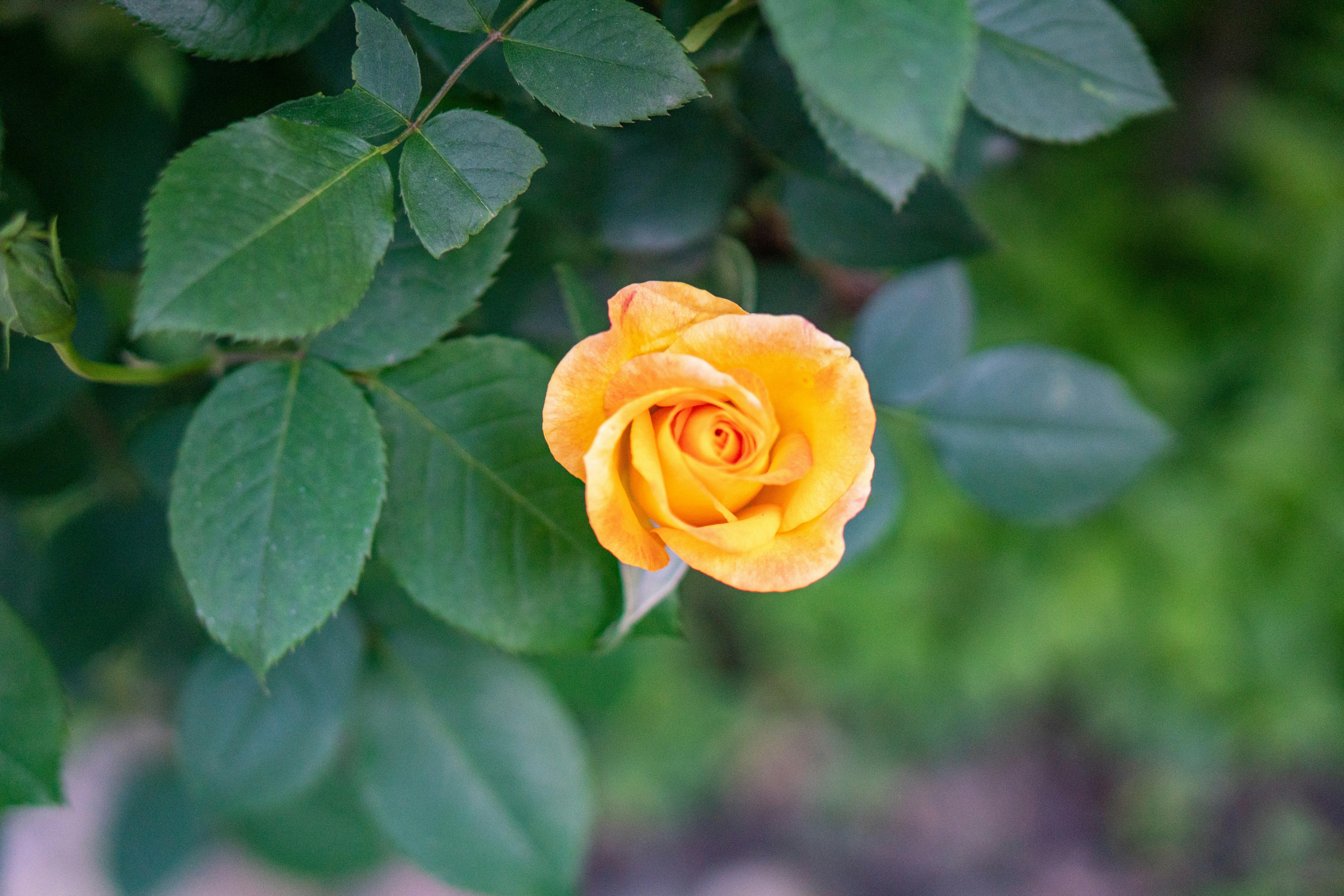 Photo by youngjun420