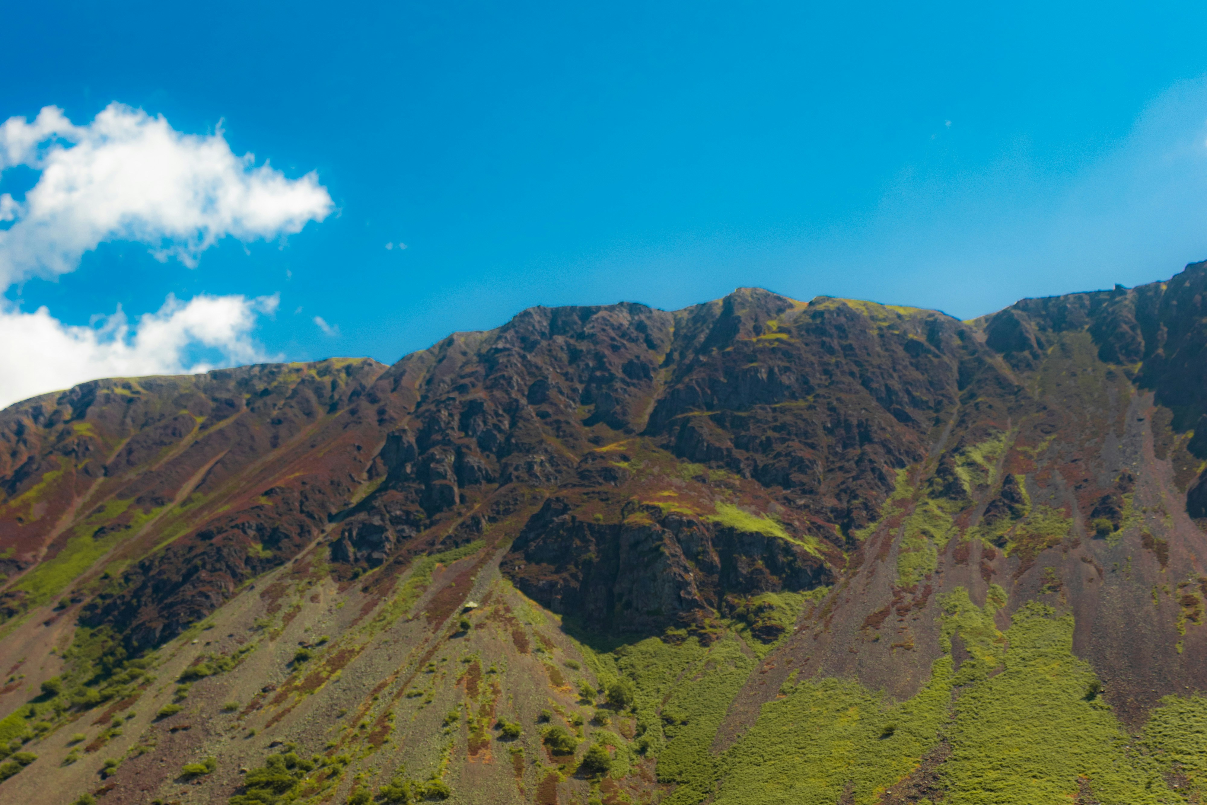 Photo by harrynixonphotos