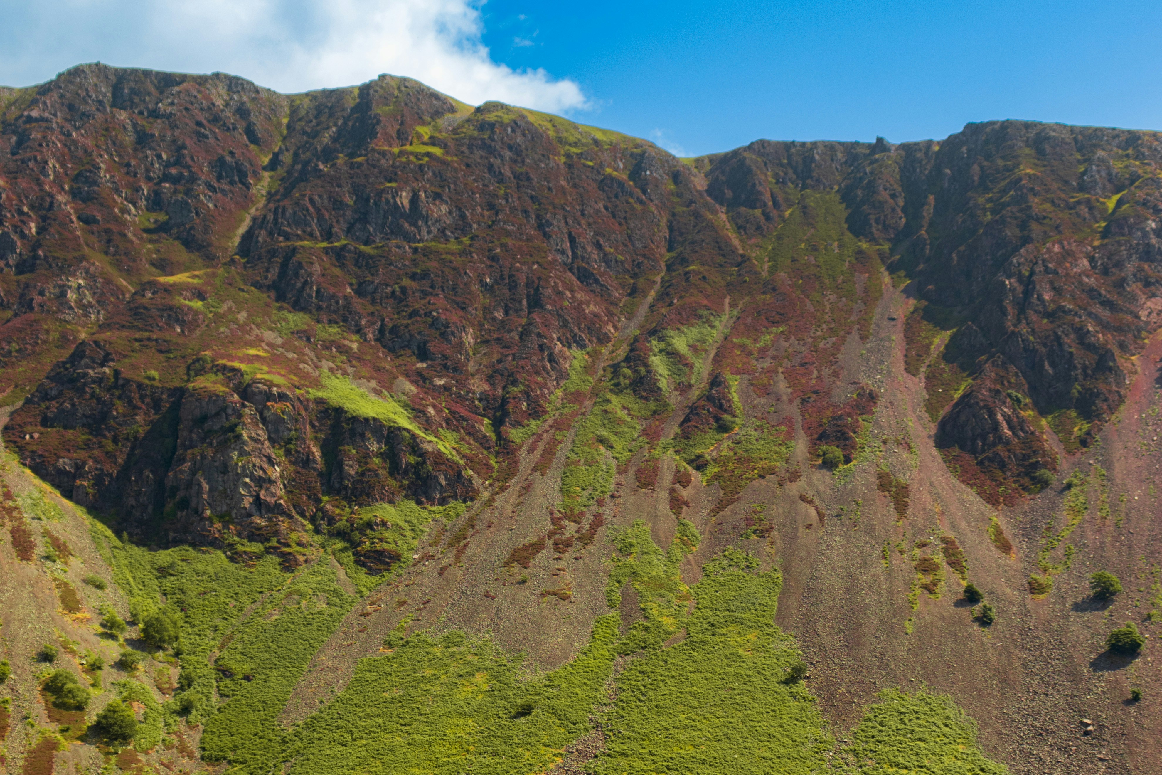 Photo by harrynixonphotos