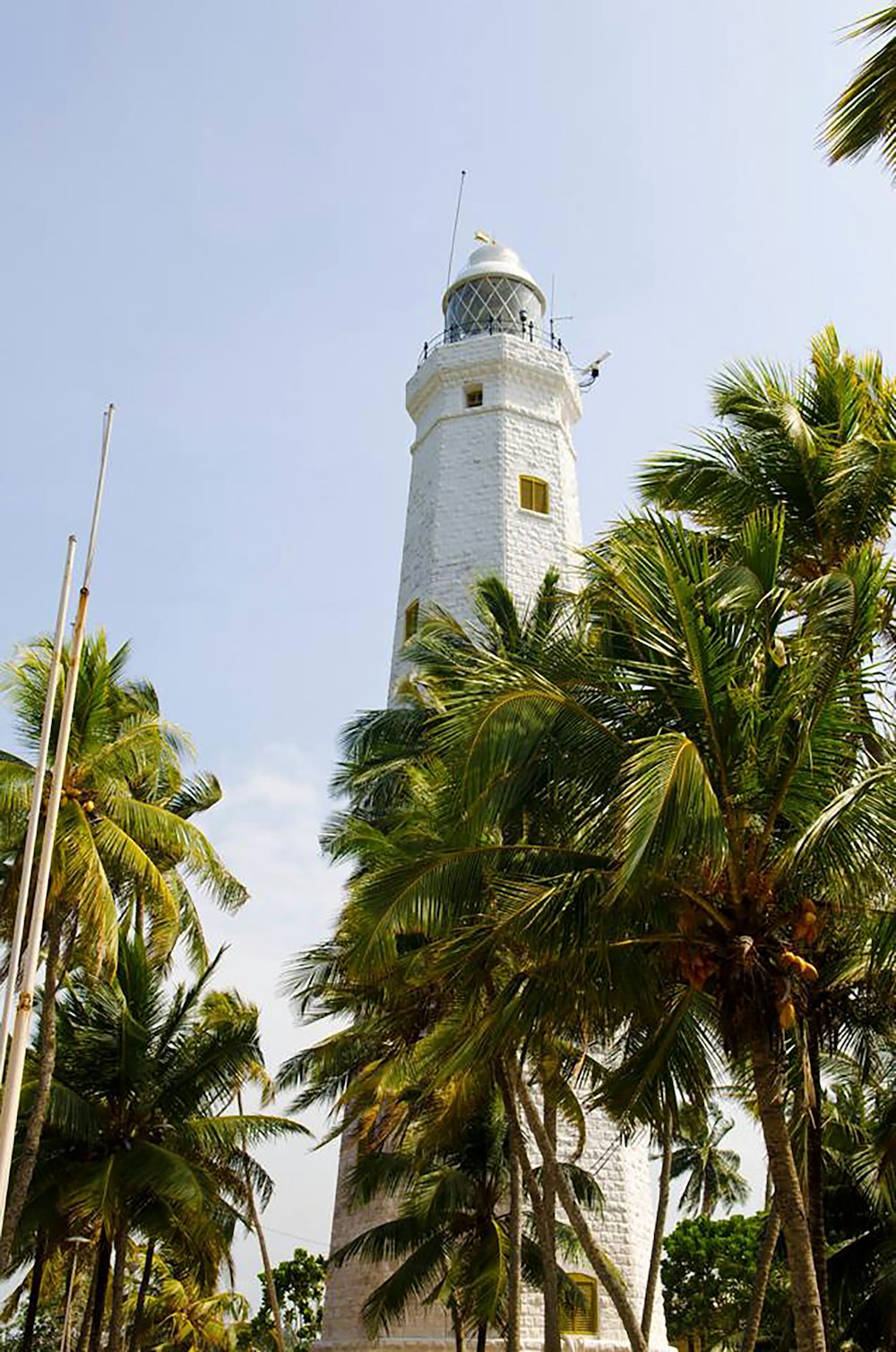 a white light house surrounded by palm trees