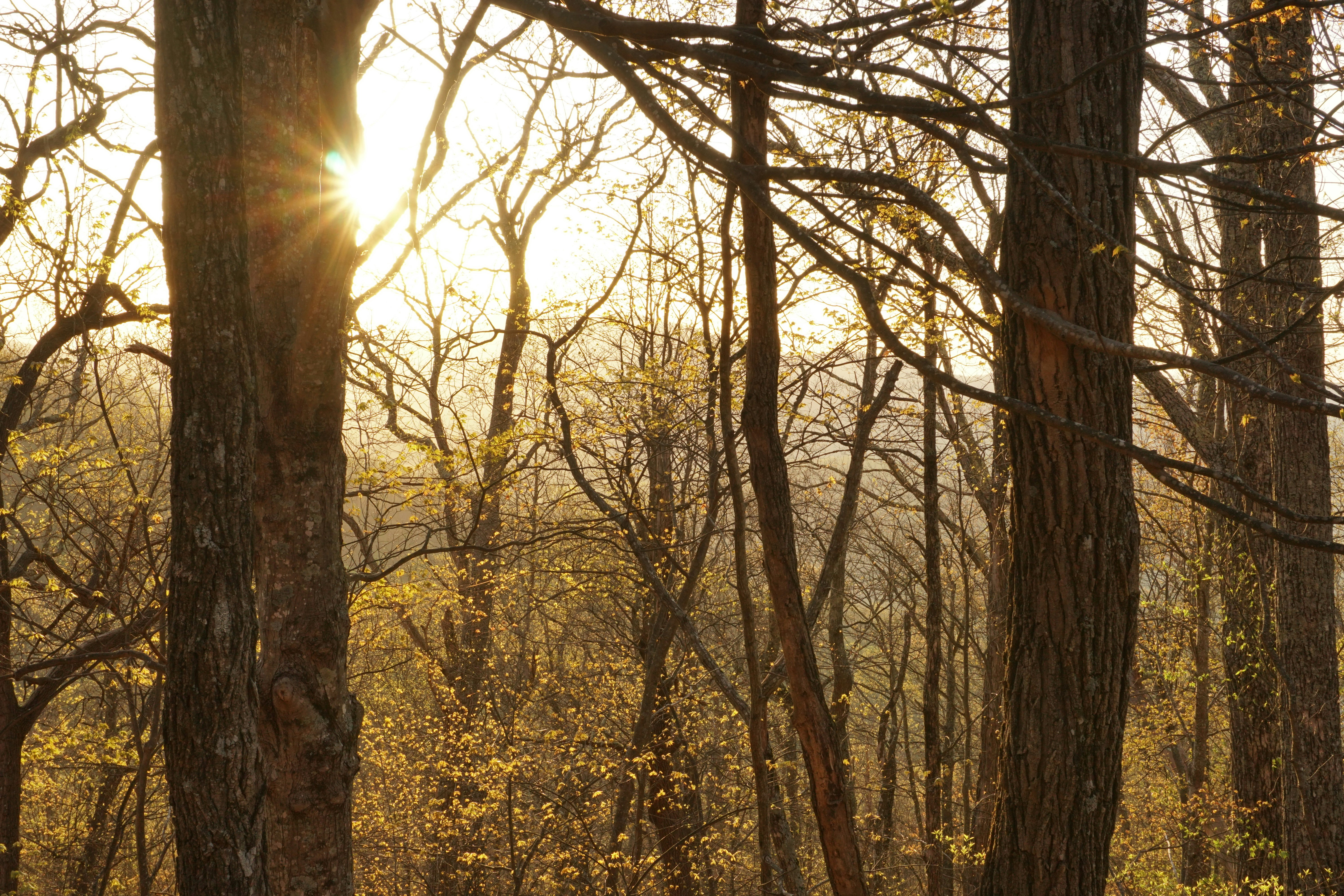 Photo by mike_cifelli