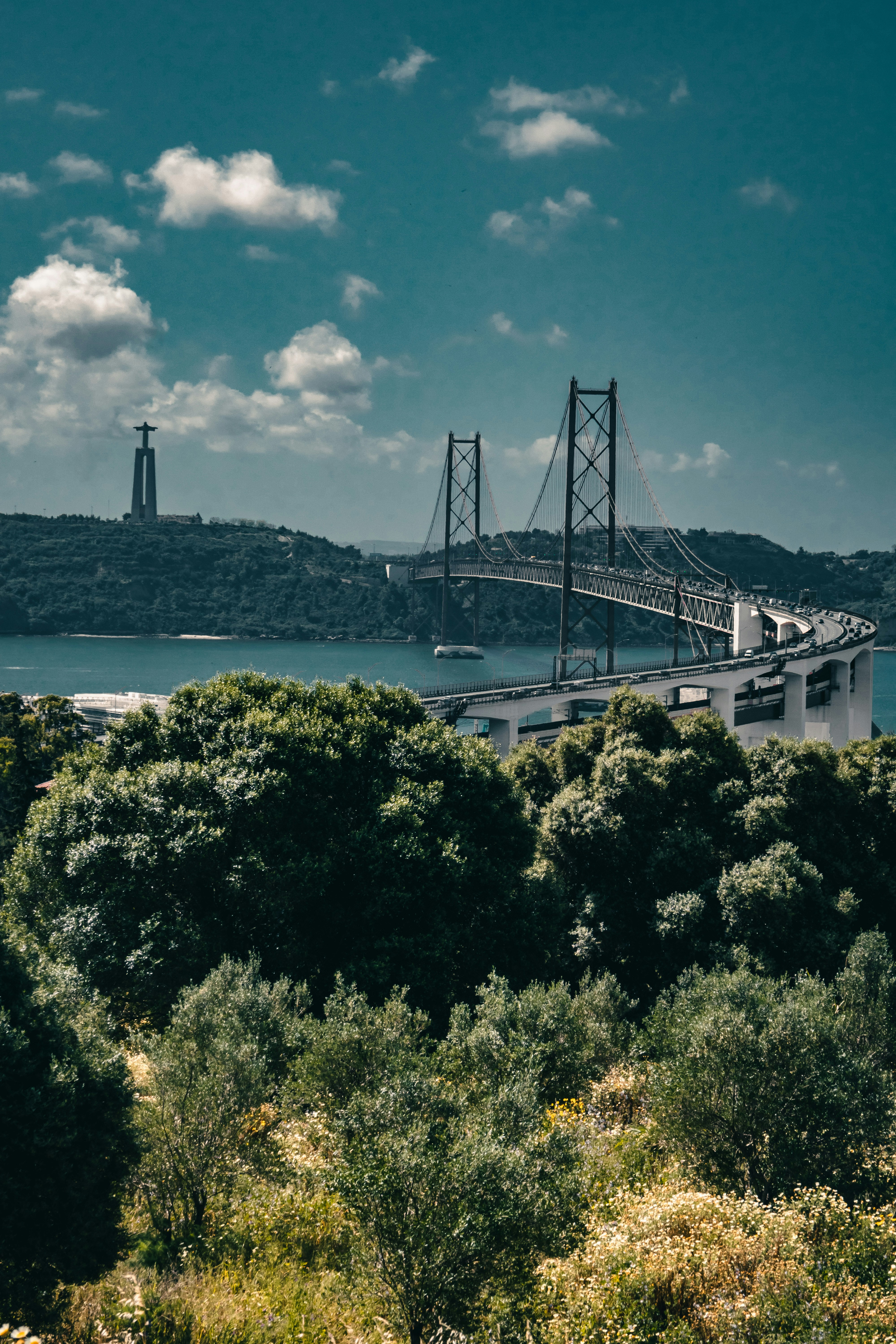 Photo by zymot