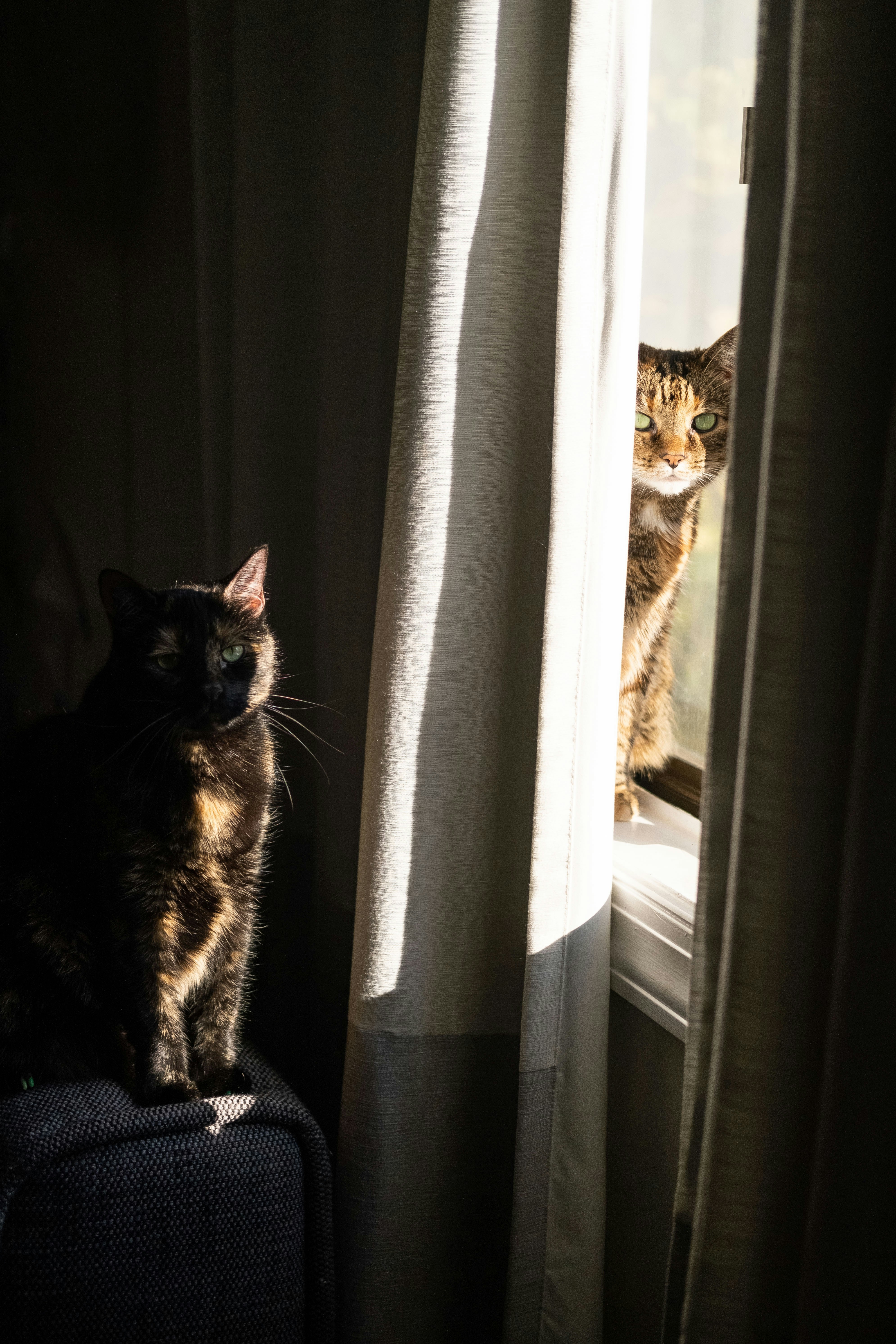 Photo by thejustinhall