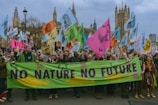 A large group of people are gathered in a city street, participating in a protest or demonstration. They are holding a green banner with the words 'NO NATURE NO FUTURE' written on it. Various colorful flags with images of animals and slogans are being waved by the attendees. The backdrop includes historical architecture, suggesting a significant urban location.