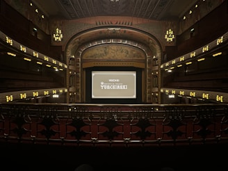 A grand, ornate theater with a large screen at the center, surrounded by elegantly designed architectural elements. The interior features intricate patterns and warm lighting, with multiple levels of seating and decorative balconies. The atmosphere suggests a historic or classic design theme.