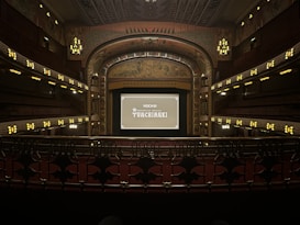 A grand, ornate theater with a large screen at the center, surrounded by elegantly designed architectural elements. The interior features intricate patterns and warm lighting, with multiple levels of seating and decorative balconies. The atmosphere suggests a historic or classic design theme.