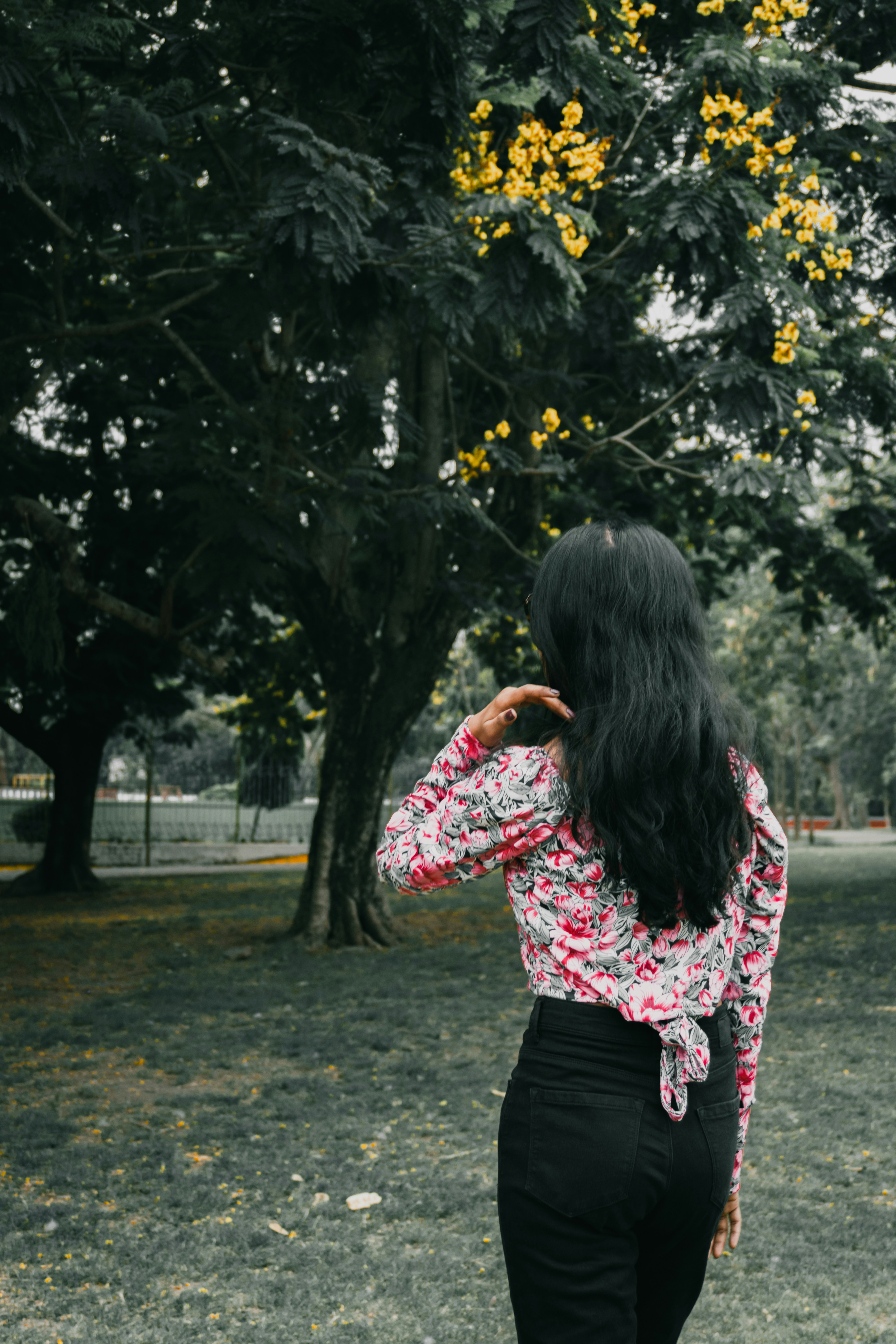 Photo by royphotography