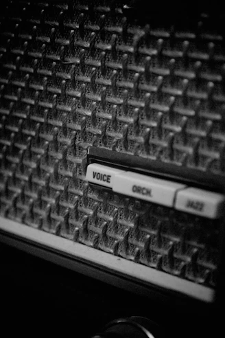 a black and white photo of a keyboard and mouse