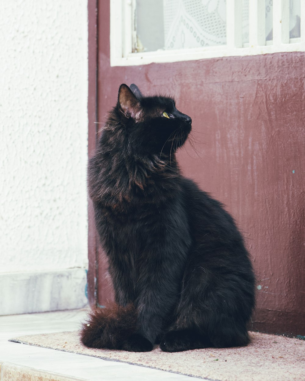 a black cat sitting on a step next to a door
