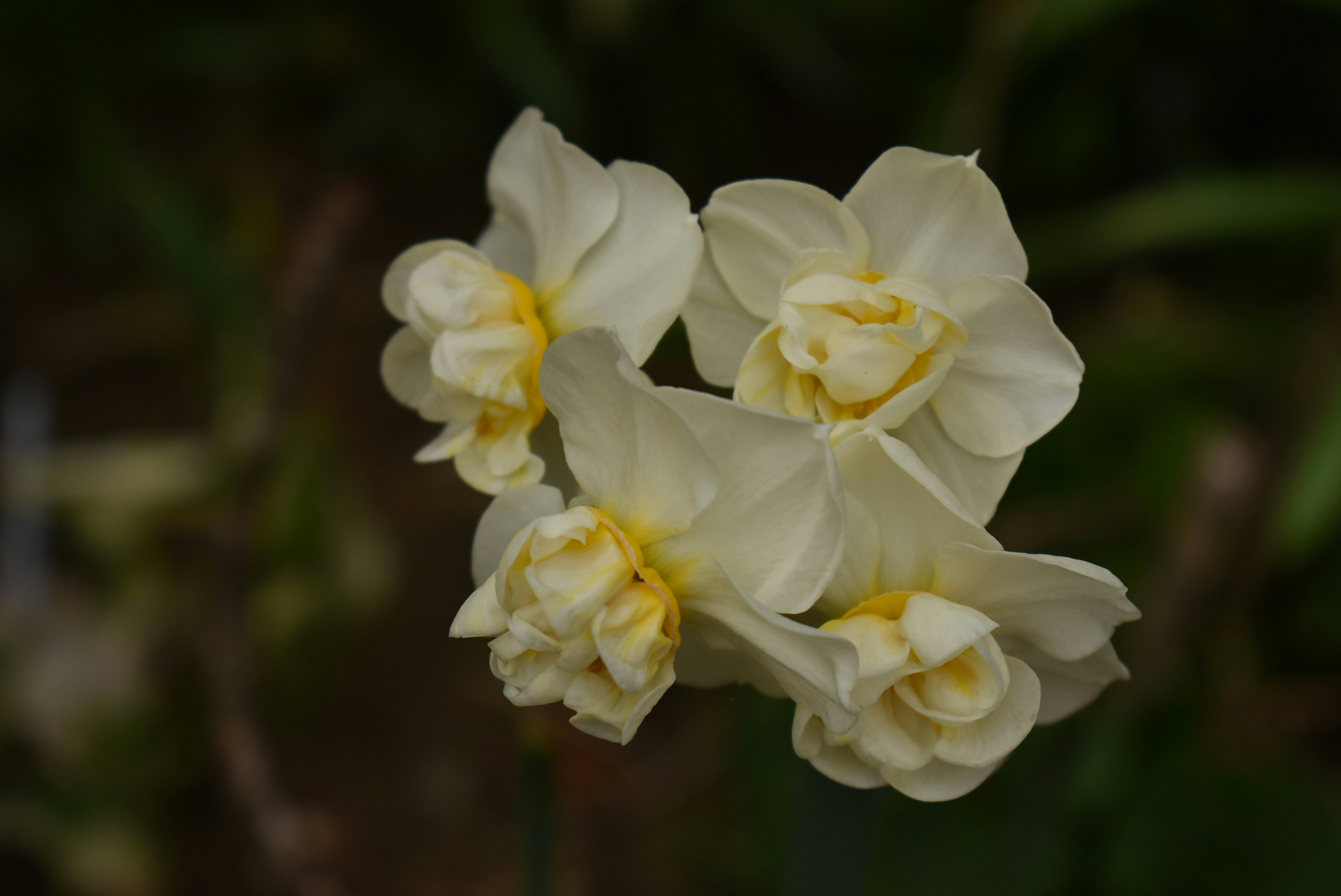 Photo by soe_puchkova