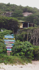 A vibrant road sign mounted on a rustic wooden post surrounded by greenery.
