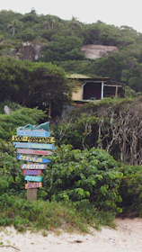 A vibrant road sign mounted on a rustic wooden post surrounded by greenery.