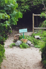 A pathway surrounded by lush greenery, leading into a densely wooded area. There is a wooden fence on the right and a sign in Portuguese that reads 'Área de Mata Nativa Não Banheiro Público' which translates to 'Native Forest Area Not a Public Bathroom'. The area is scattered with rocks and there are tree stumps near the sign.