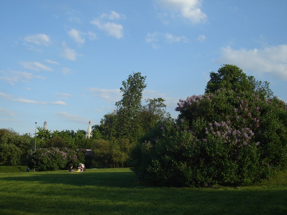 a couple of people sitting on a bench in a park