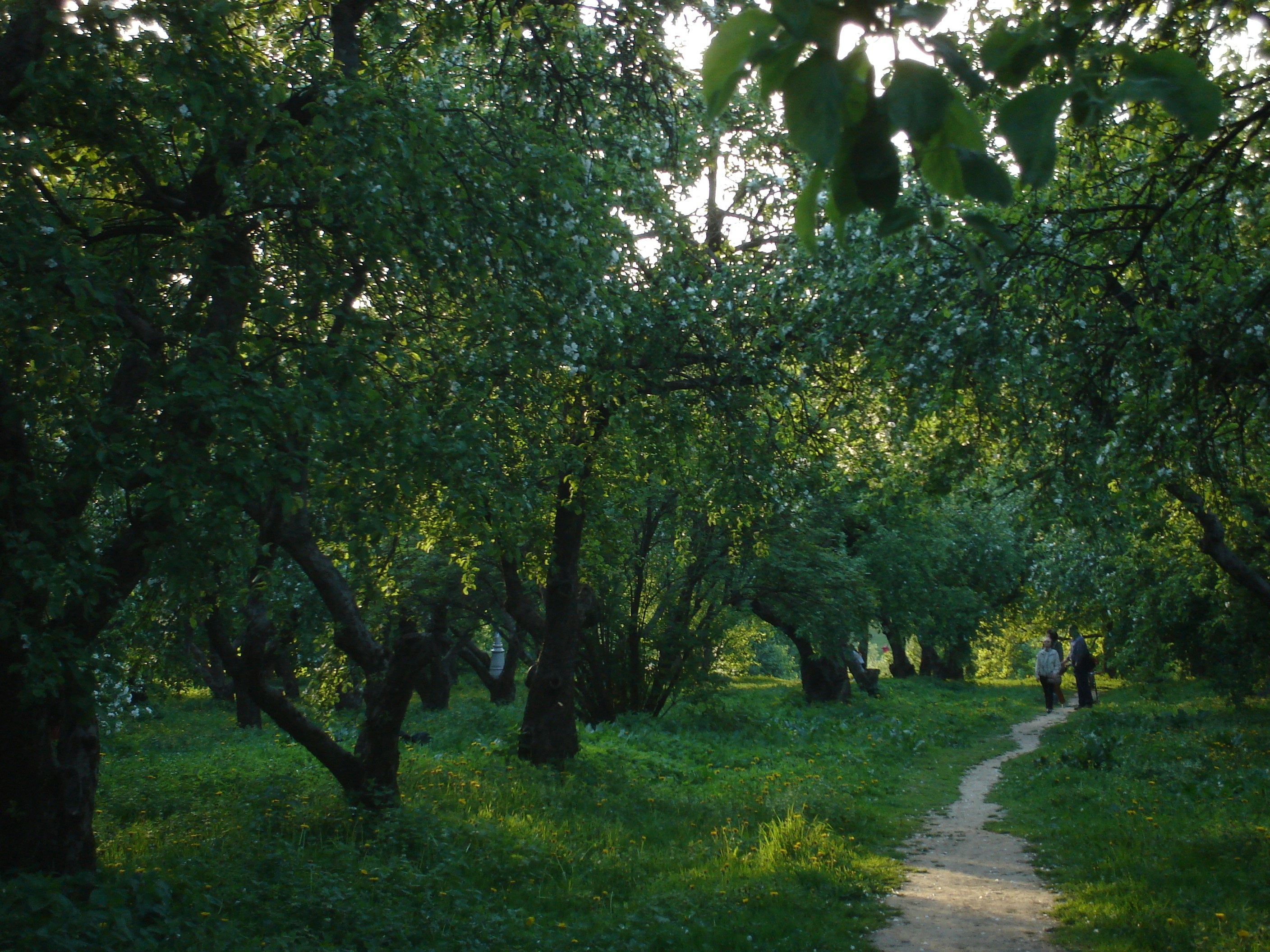 Photo by soe_puchkova