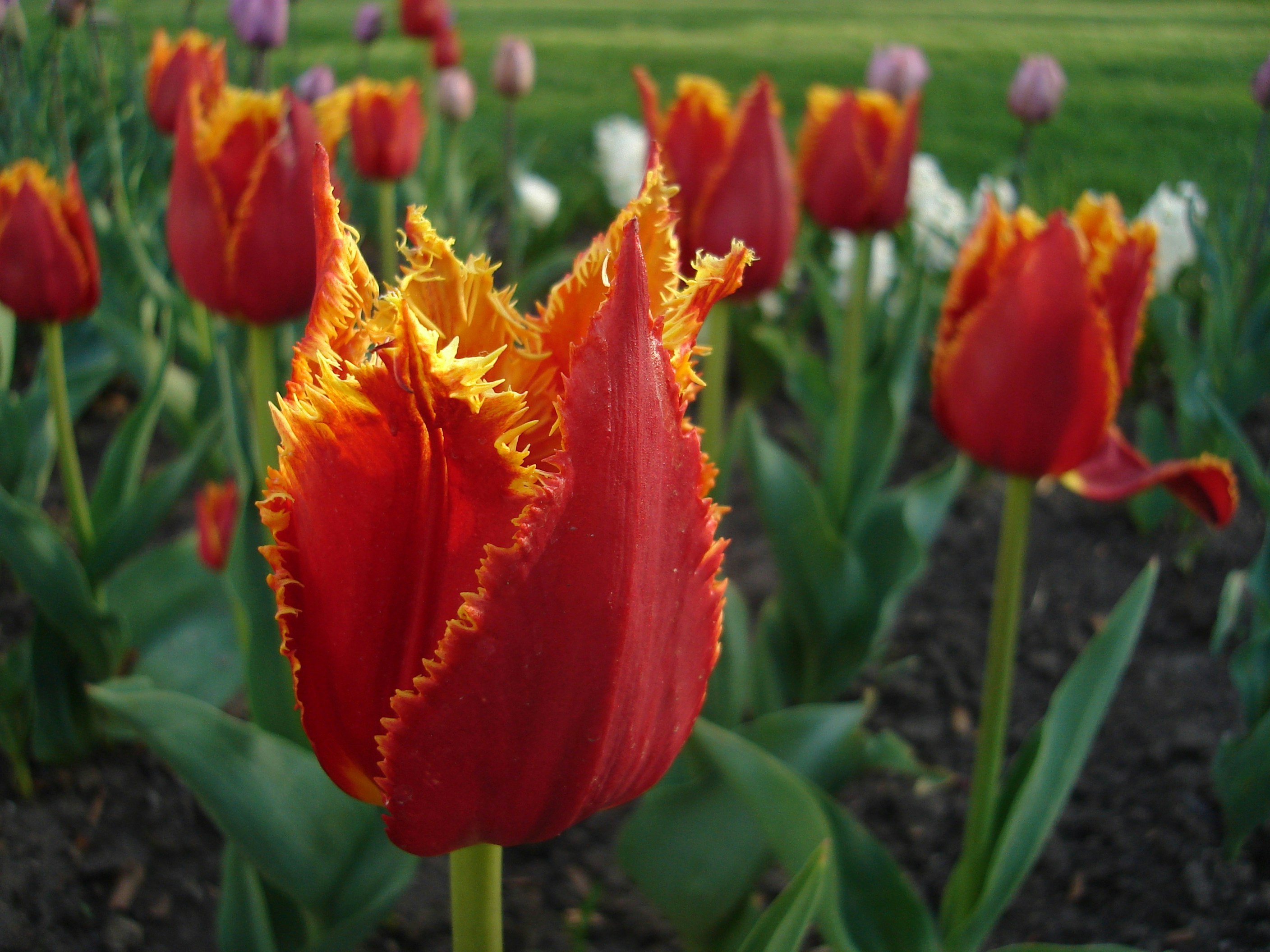 Photo by soe_puchkova