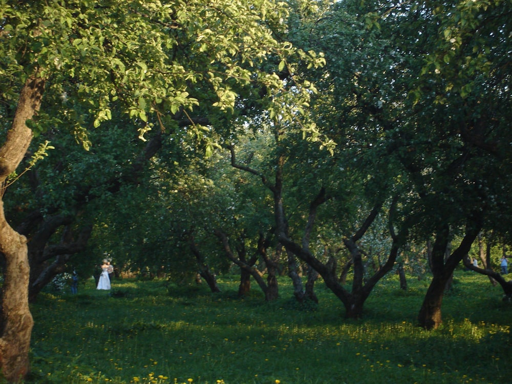 a woman in a white dress is walking through the woods