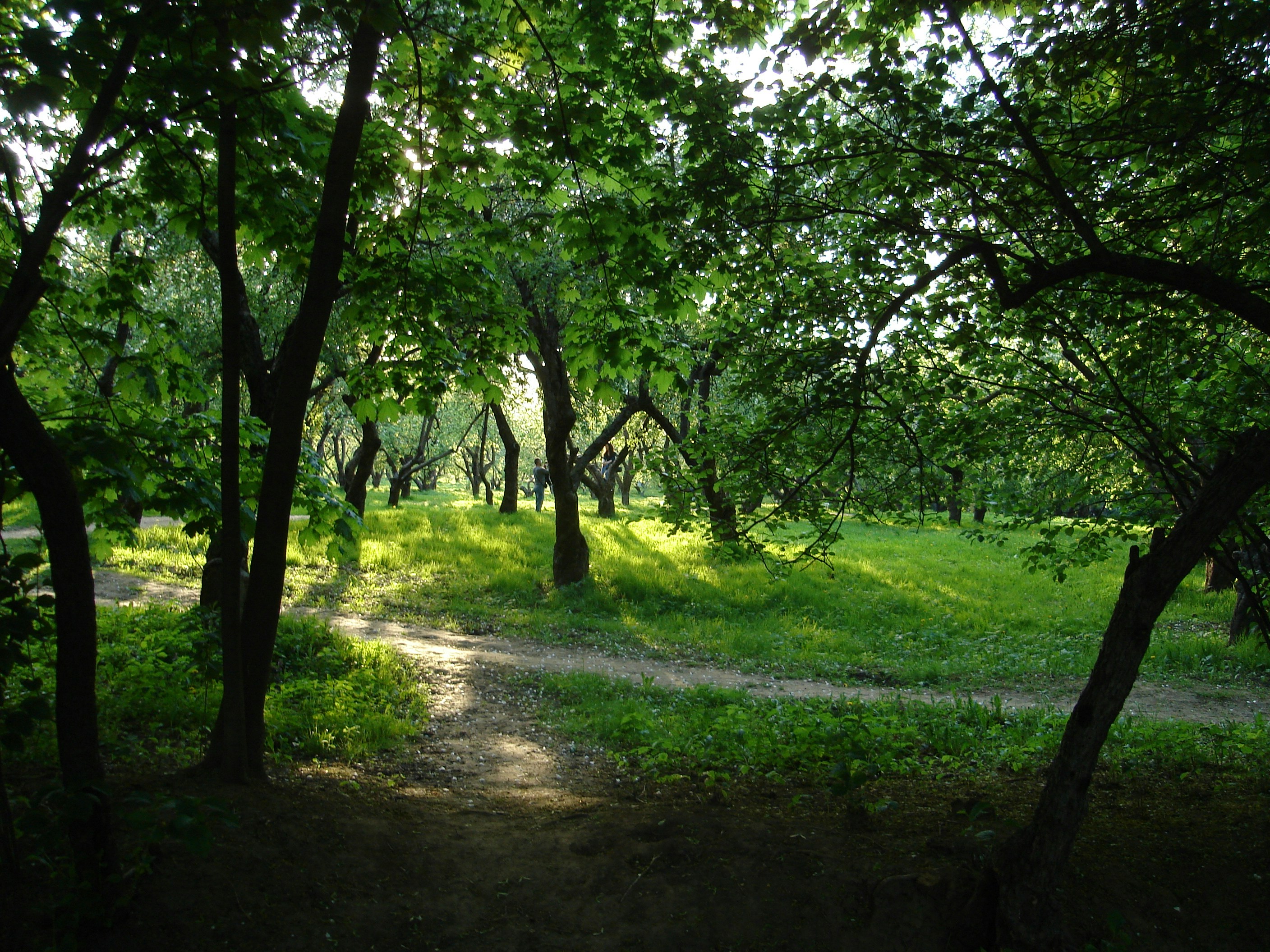 Photo by soe_puchkova