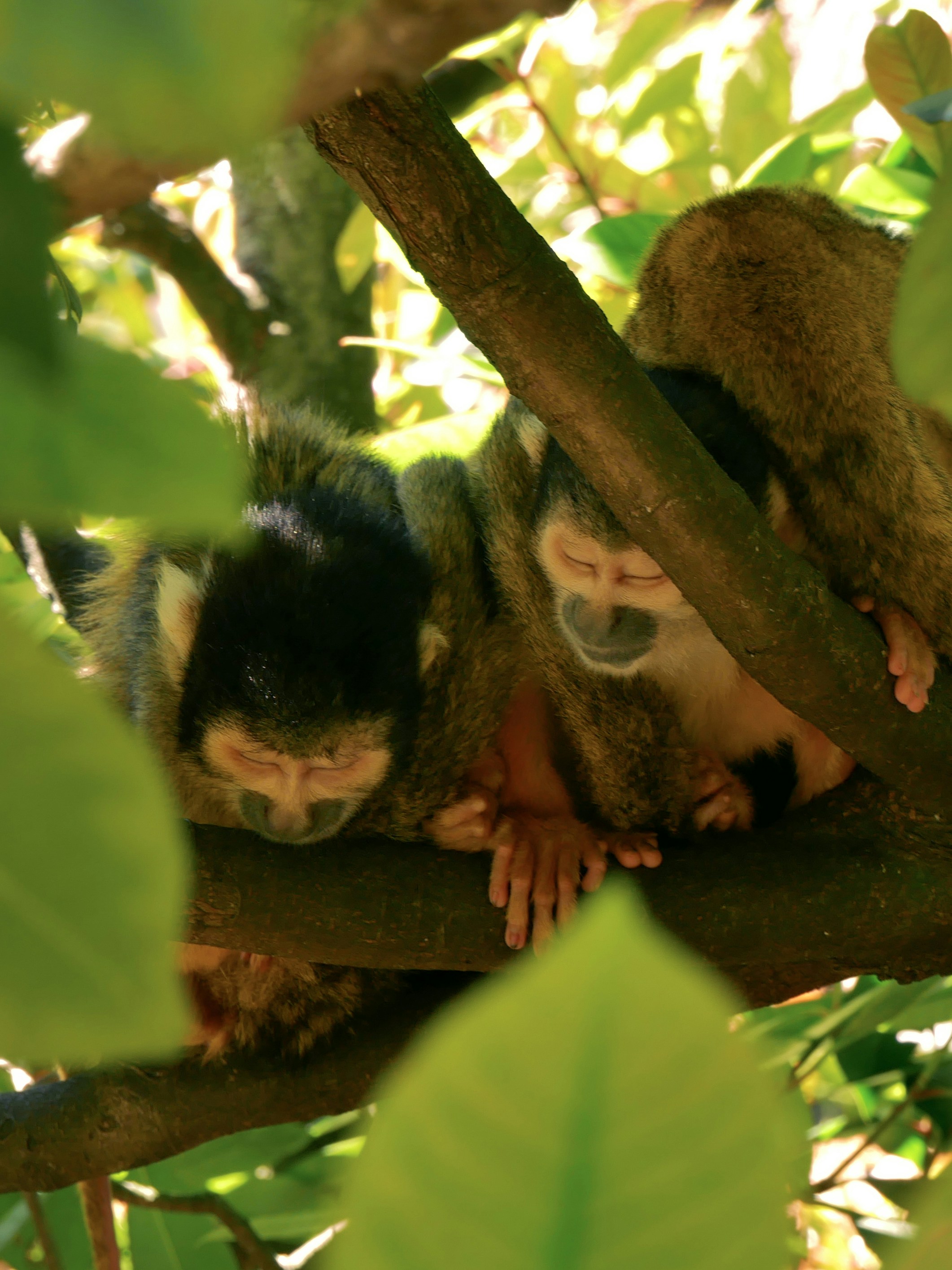 Photo by giulia_landena