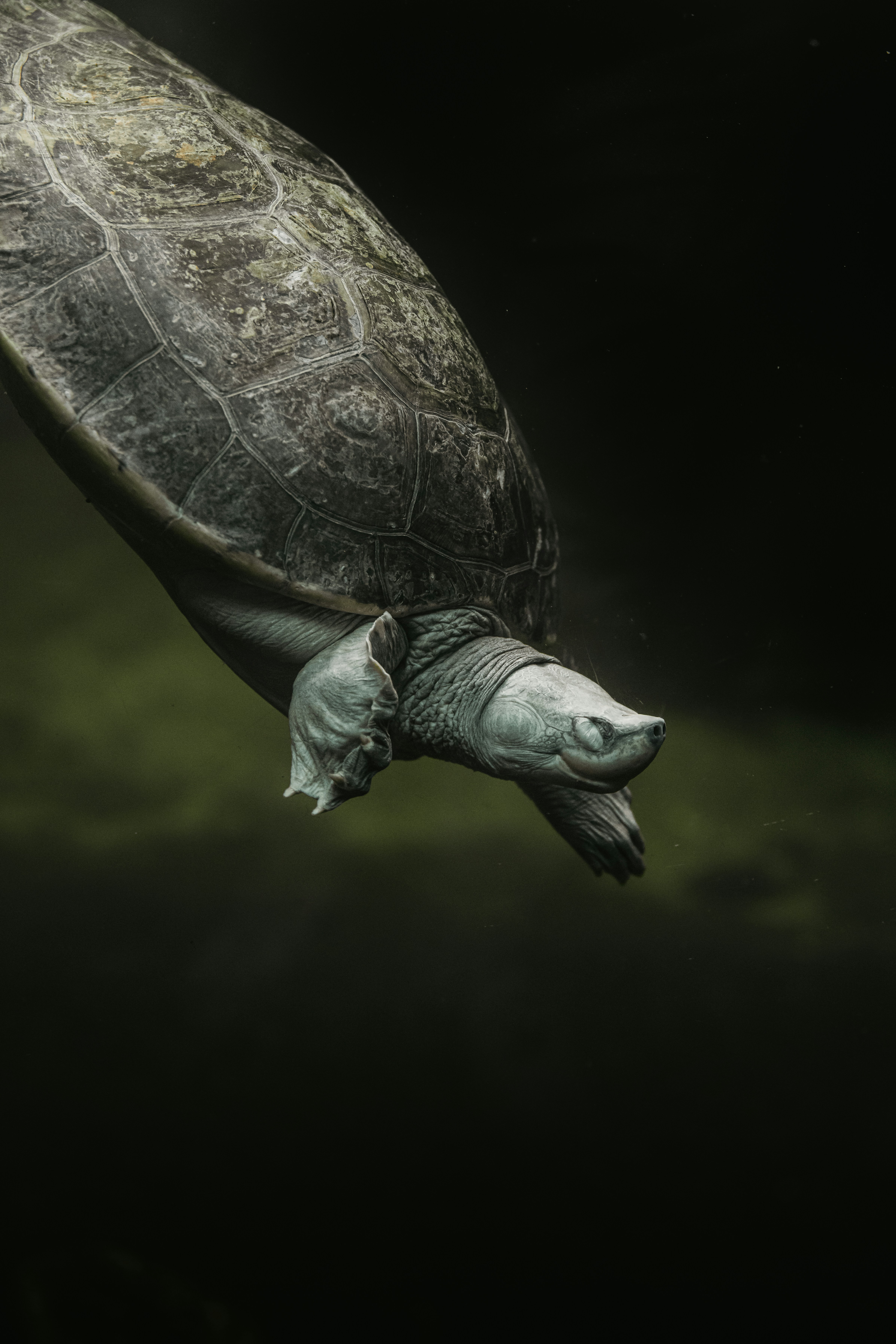 Photo by janoschphotos