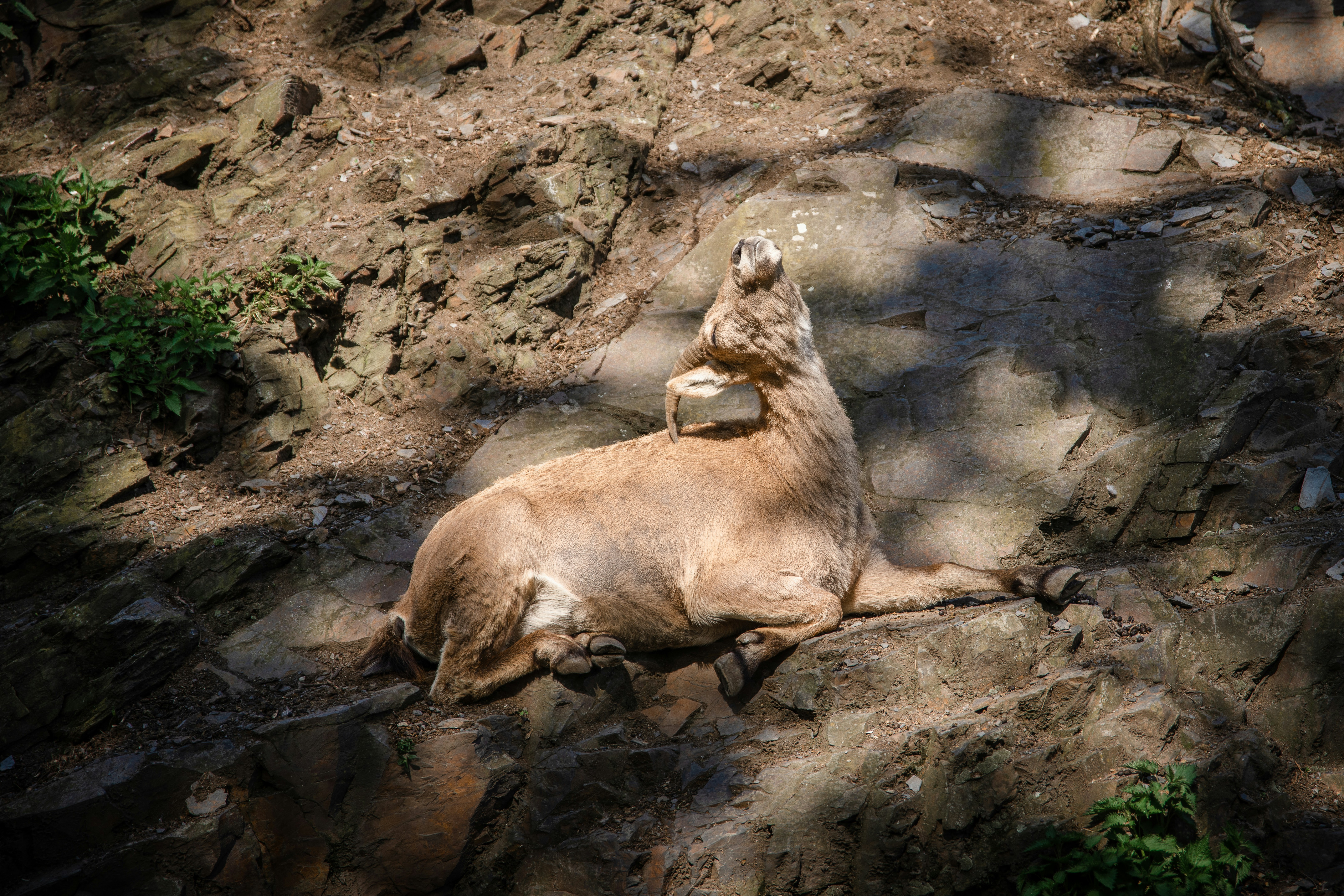 Photo by janoschphotos