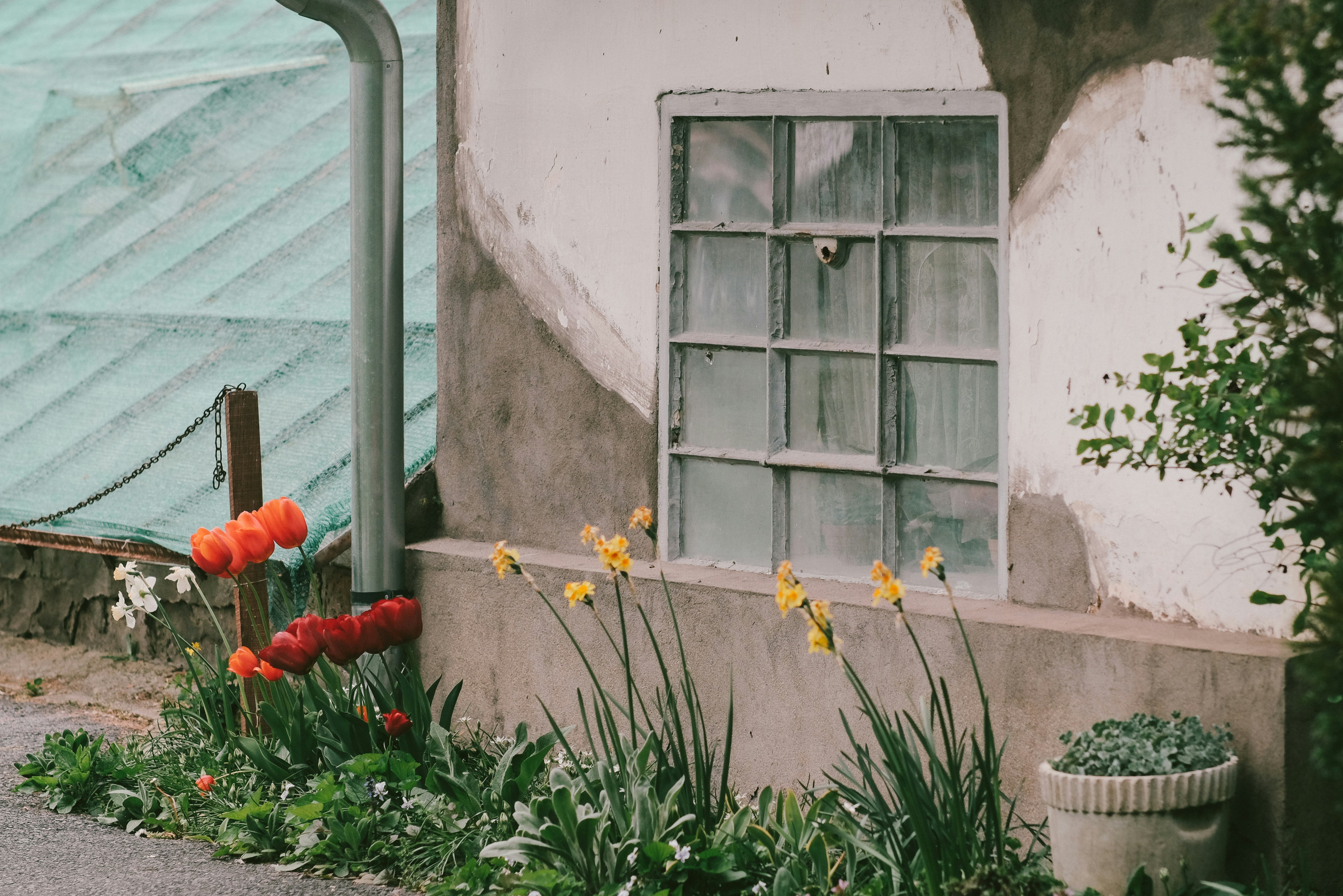 a building with a bunch of flowers in front of it