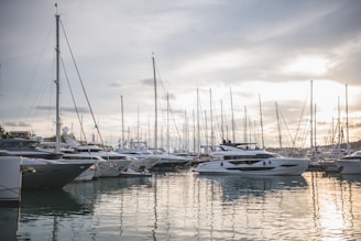 a bunch of boats that are in the water