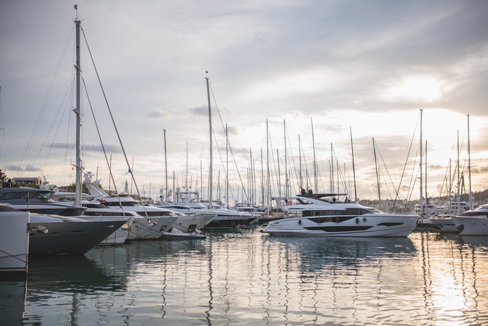 a bunch of boats that are in the water