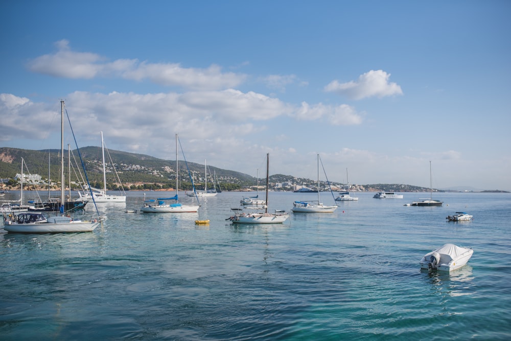 a group of boats floating on top of a body of water