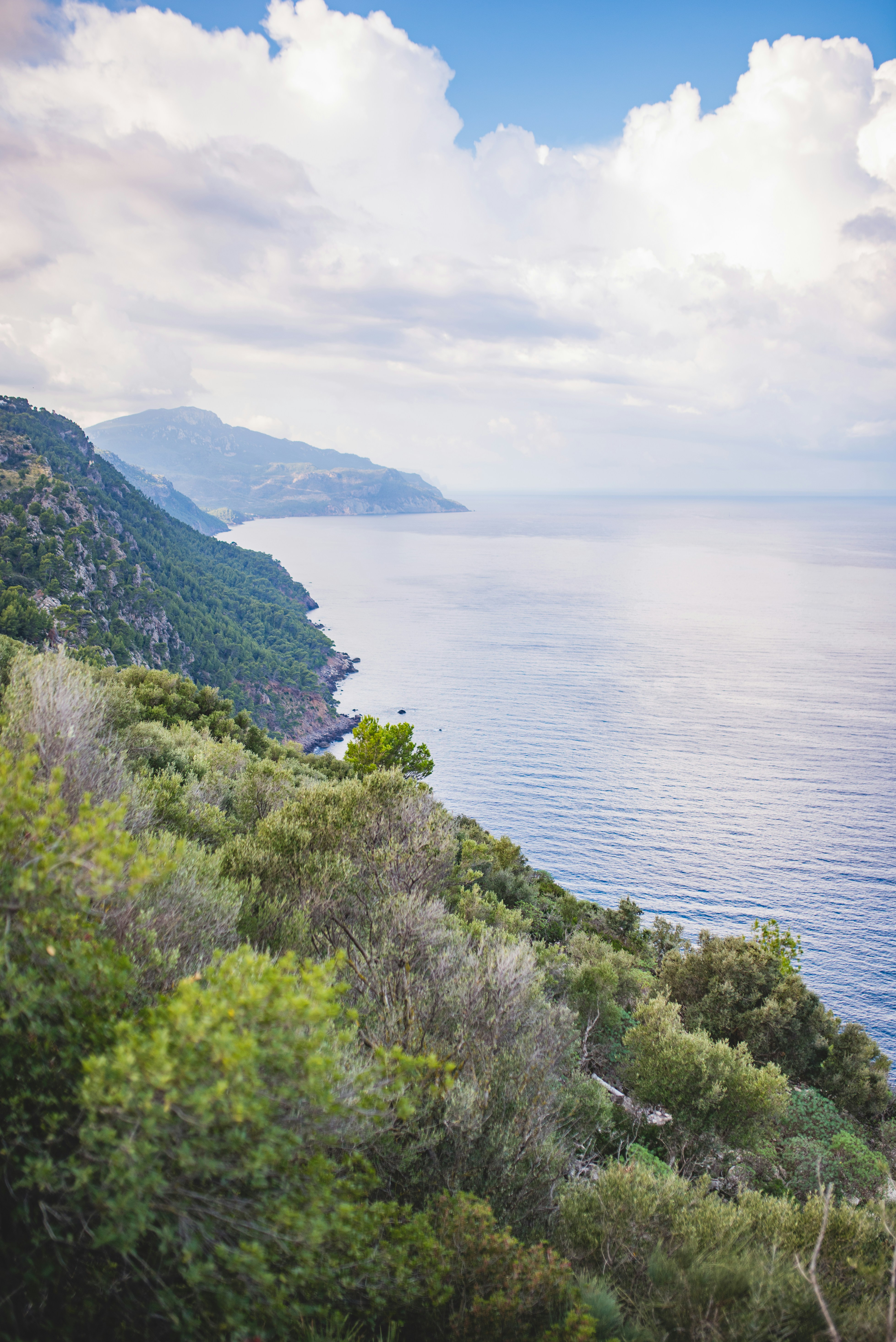 Photo by monik_guzik