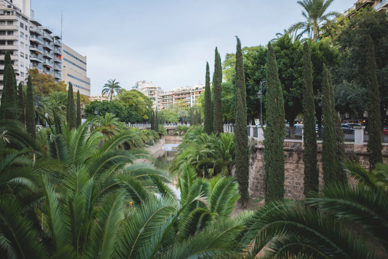 Cafes With the Fastest Wifi in Palma de Mallorca (Speeds Actually Tested)