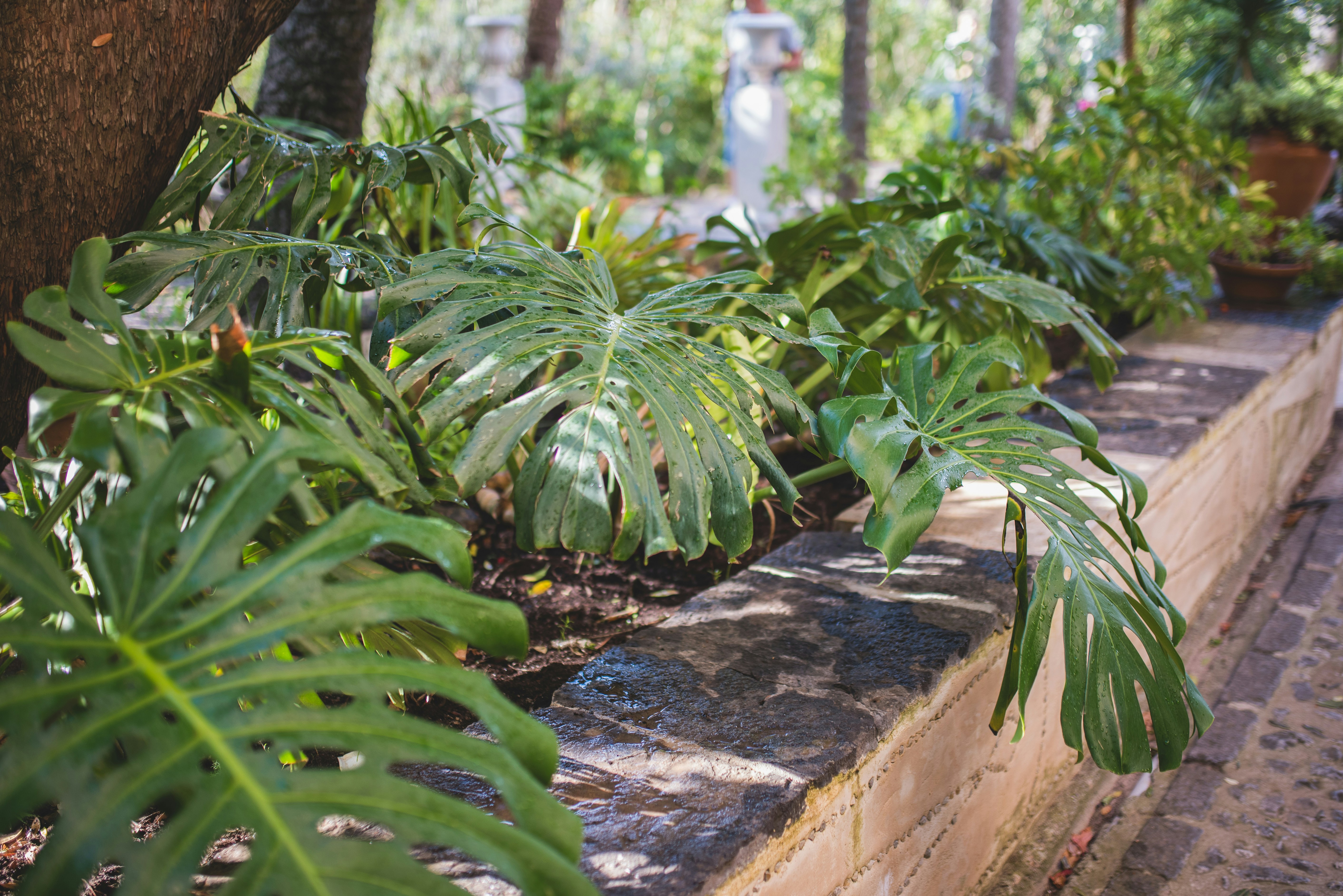 Photo by monik_guzik