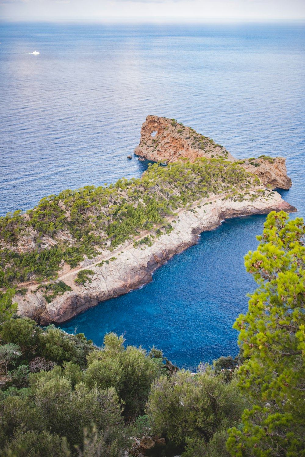 Una piccola isola in mezzo a uno specchio d'acqua