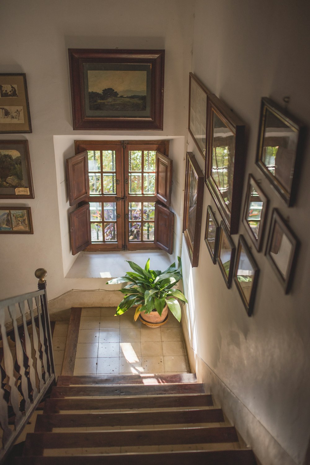 a stair case with a potted plant on top of it