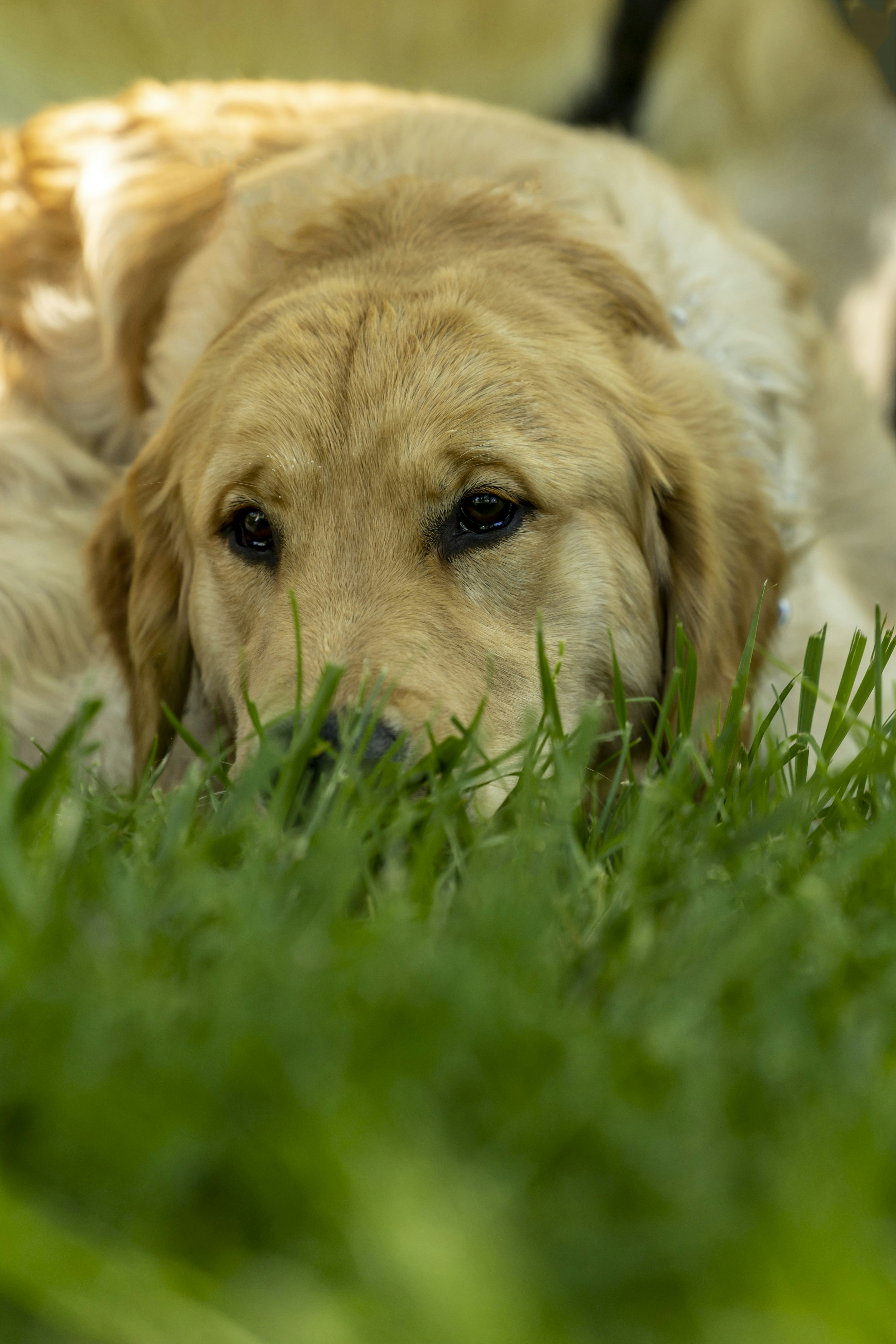 Photo by leo_visions_