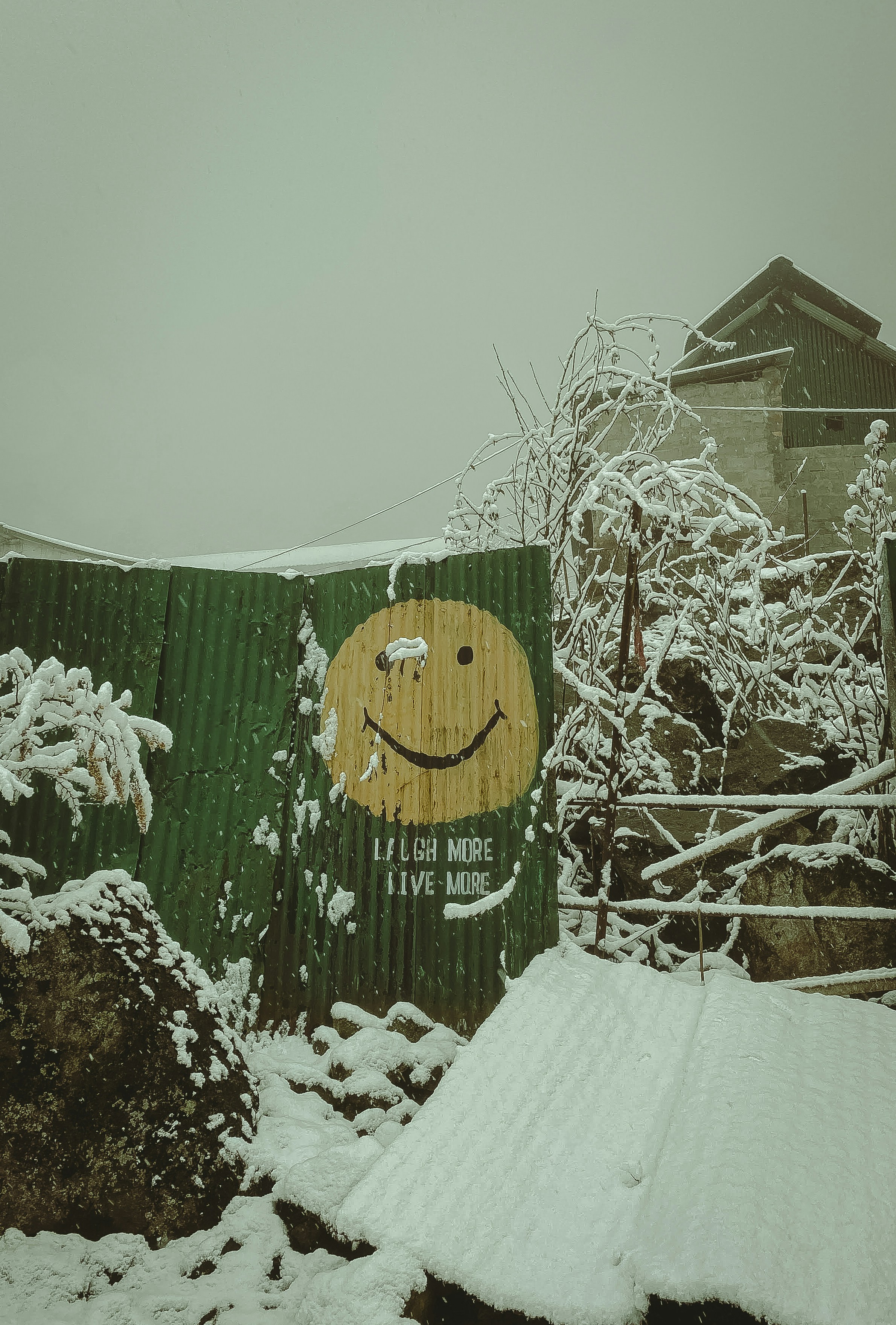 A green building with a smiley face painted on it photo – Free Nature ...