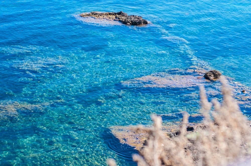 a body of water with rocks in the middle of it