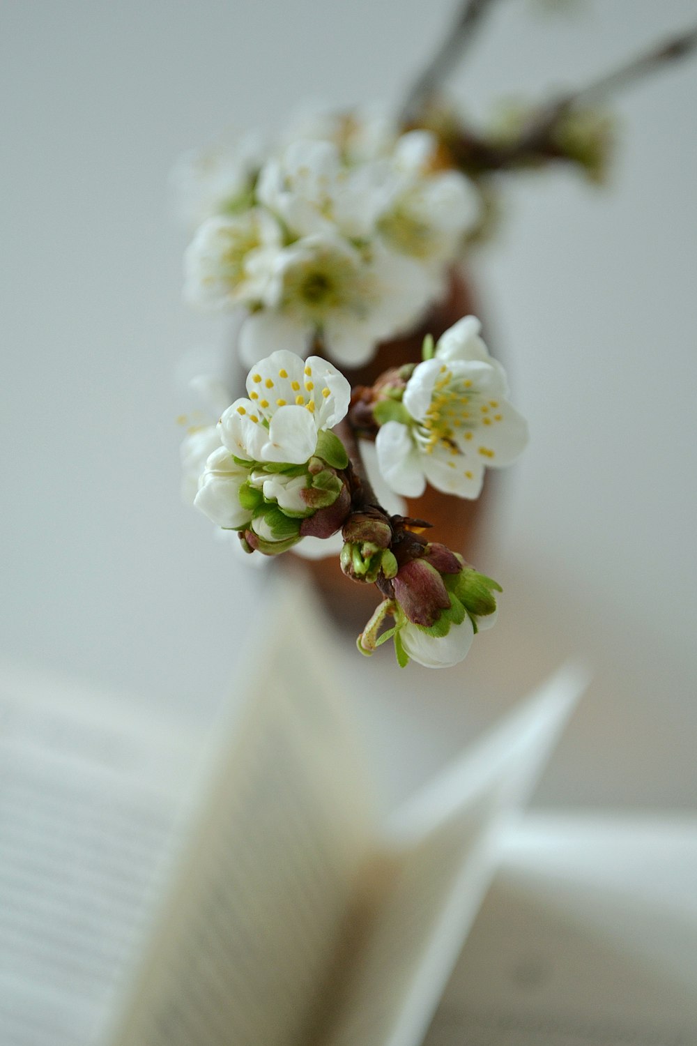 a close up of a book with flowers in it