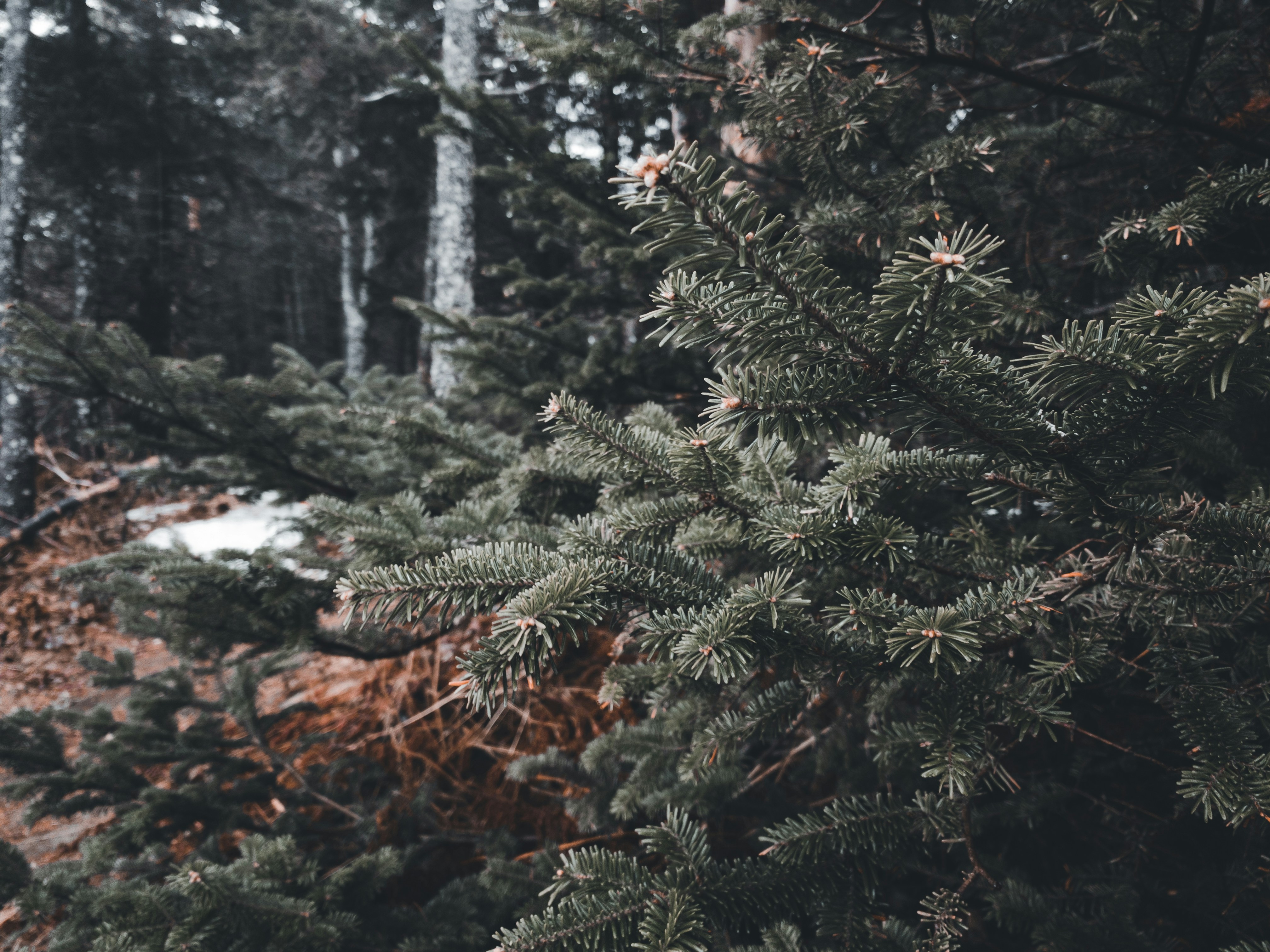 Photo by introspectivedsgn