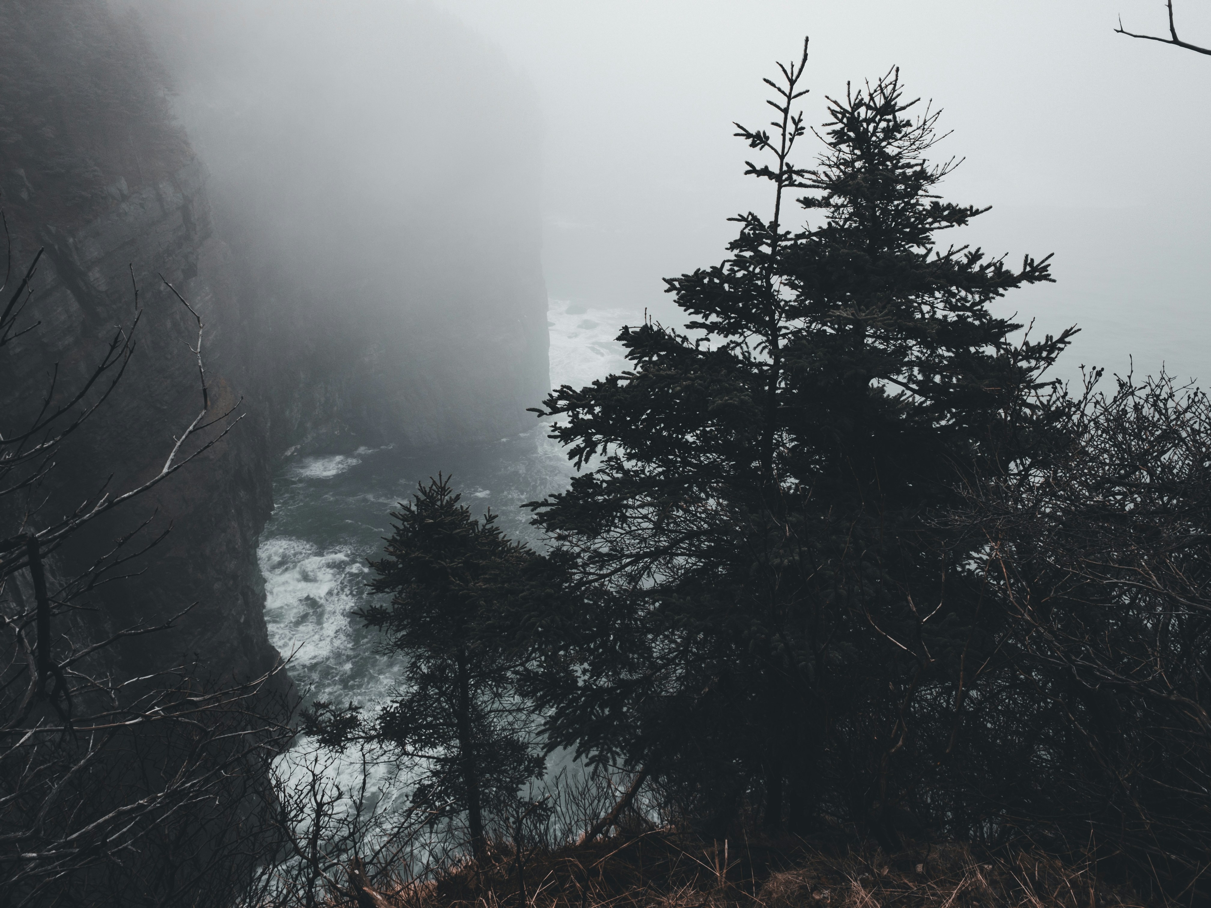 Photo by introspectivedsgn