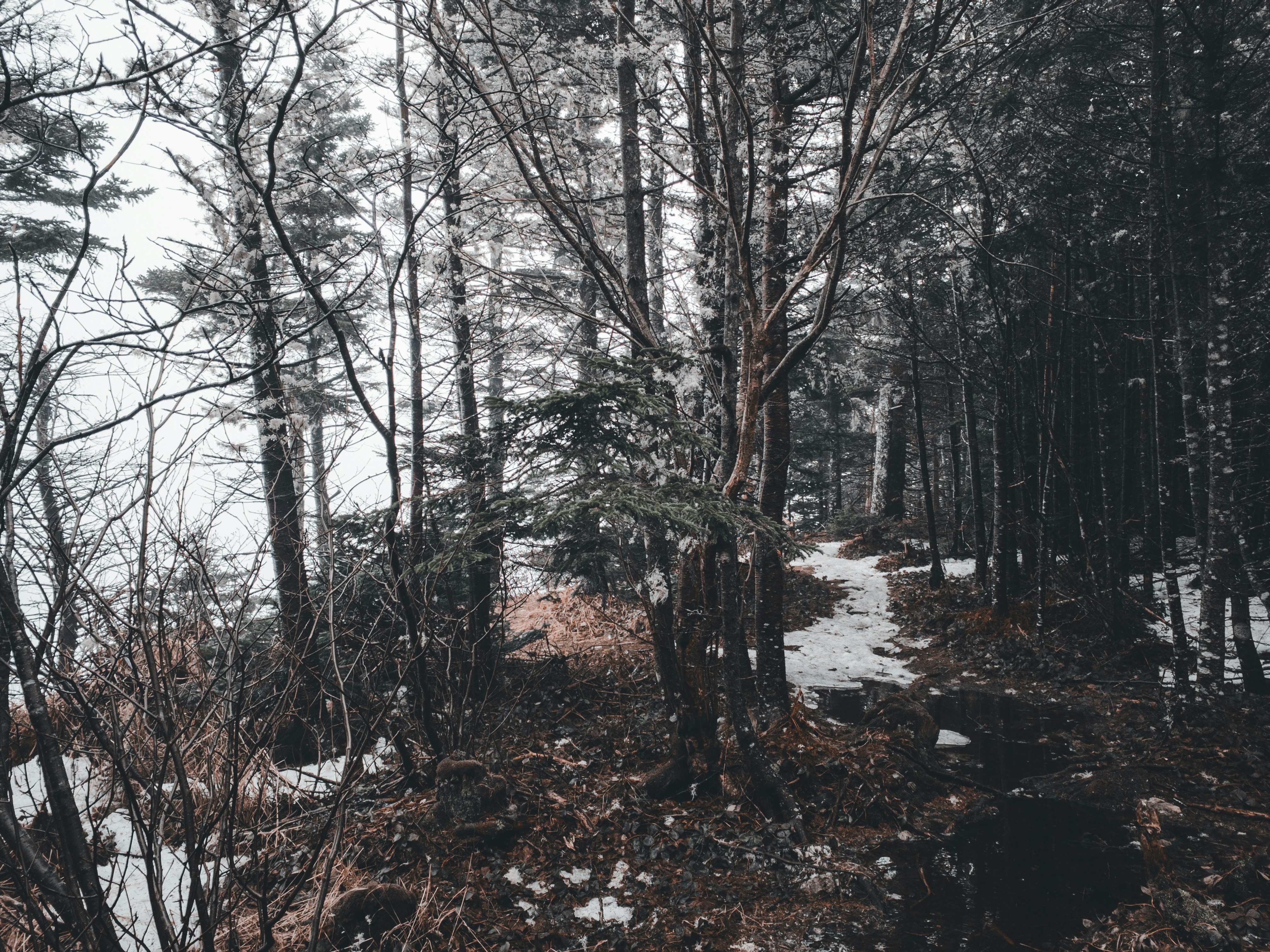 Photo by introspectivedsgn
