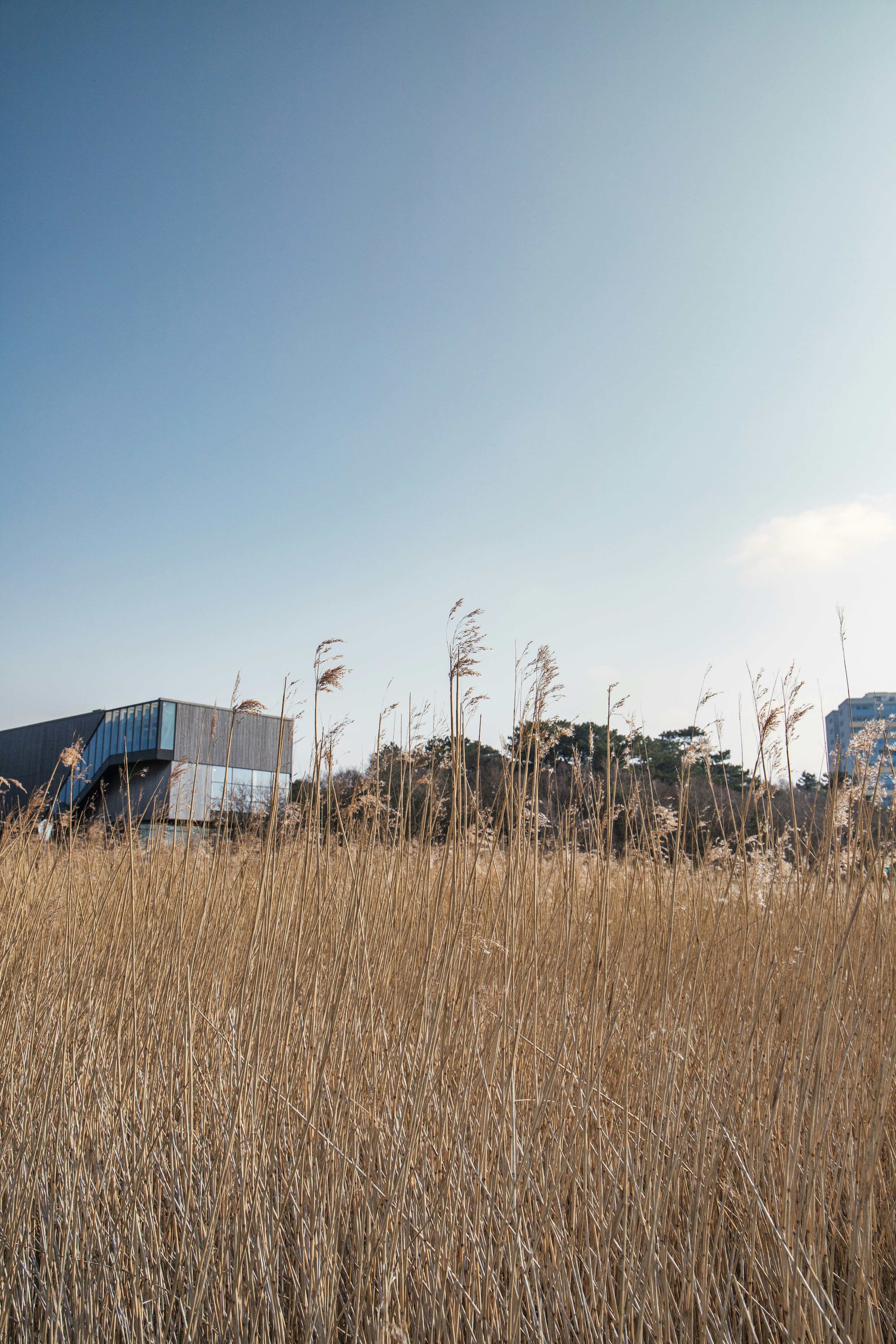 Photo by katharina_bill