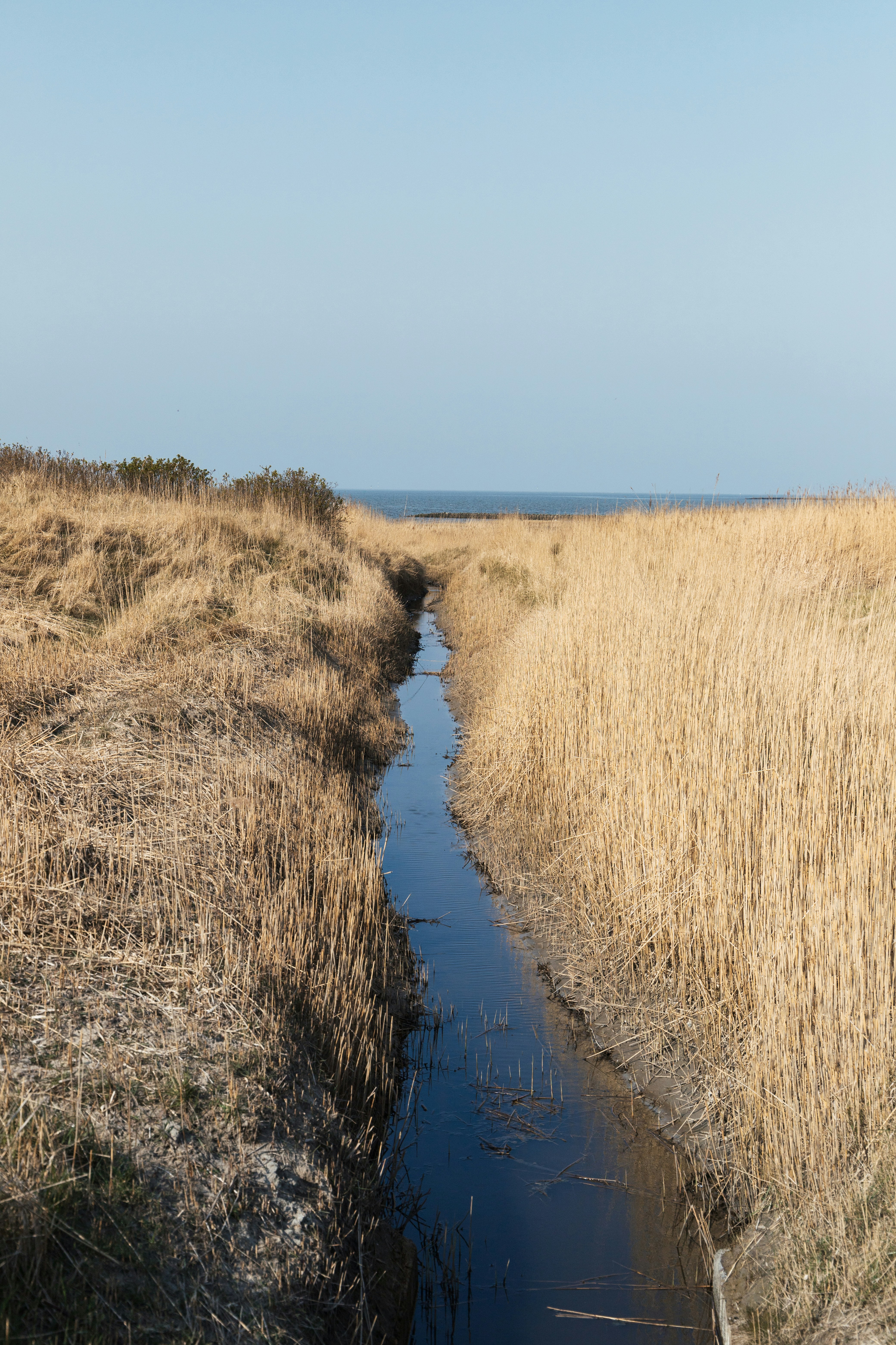 Photo by katharina_bill